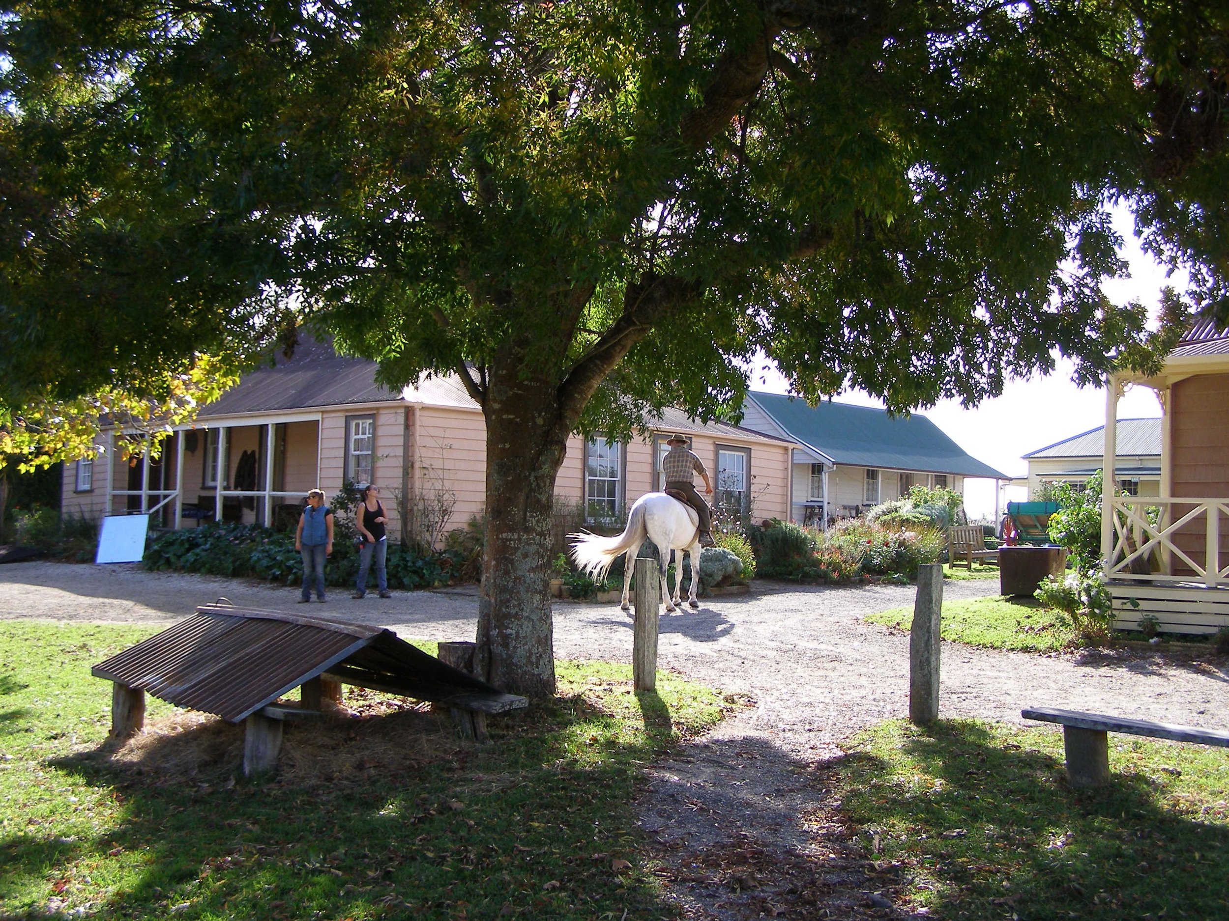 A park with a large tree providing shade, a white horse being ridden by a person, and two women standing nearby, with houses and benches in the background.