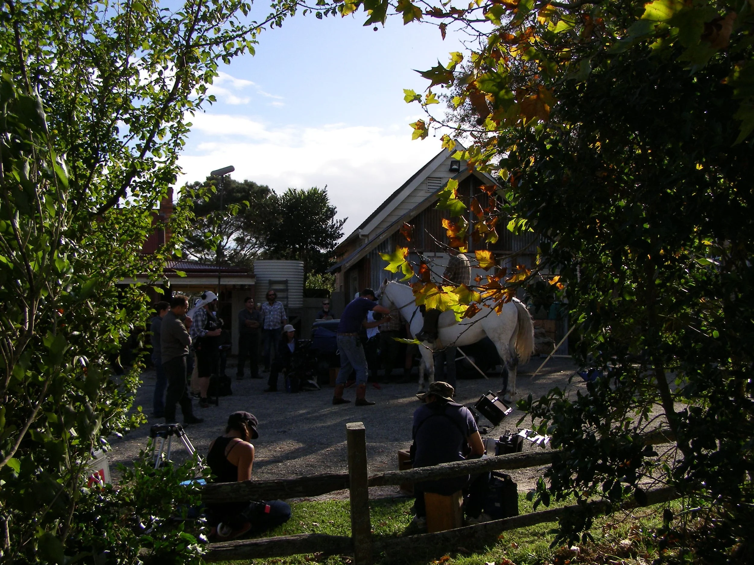 People gathered outdoors around a white horse with a person grooming it, framed by trees and foliage with a rustic building in the background.