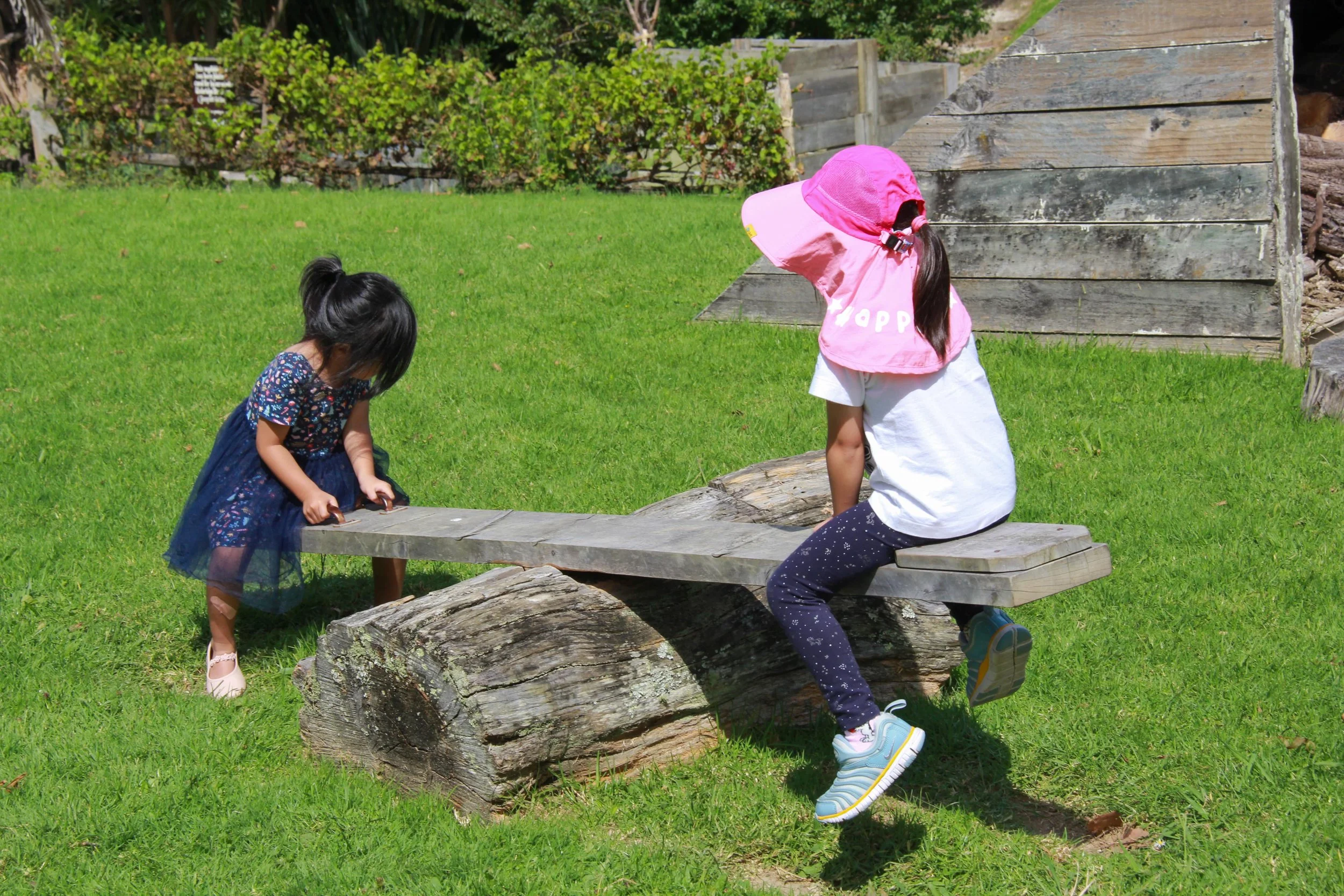 Two young girls playing on a wooden seesaw in a grassy park. One girl is sitting on the seesaw, wearing a pink hat and white shirt, while the other girl is standing beside it, wearing a blue dress.