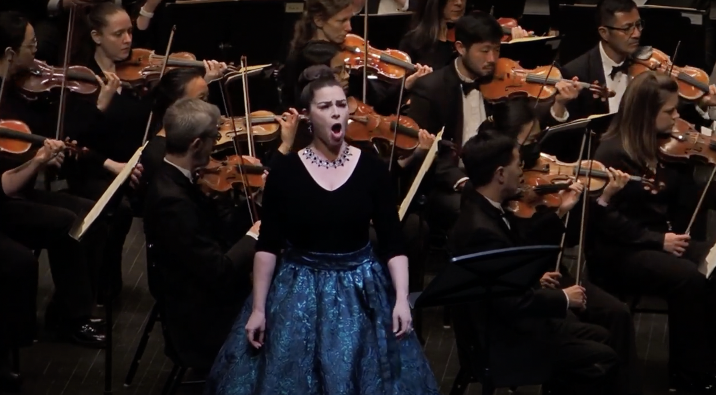 Screen Shot 2024-08-16 at 10.56.32 AM.png