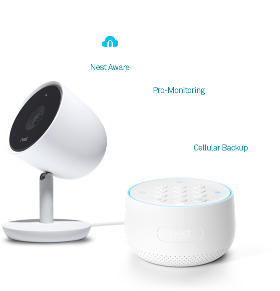 Best nest cellular backup New Arrivals
