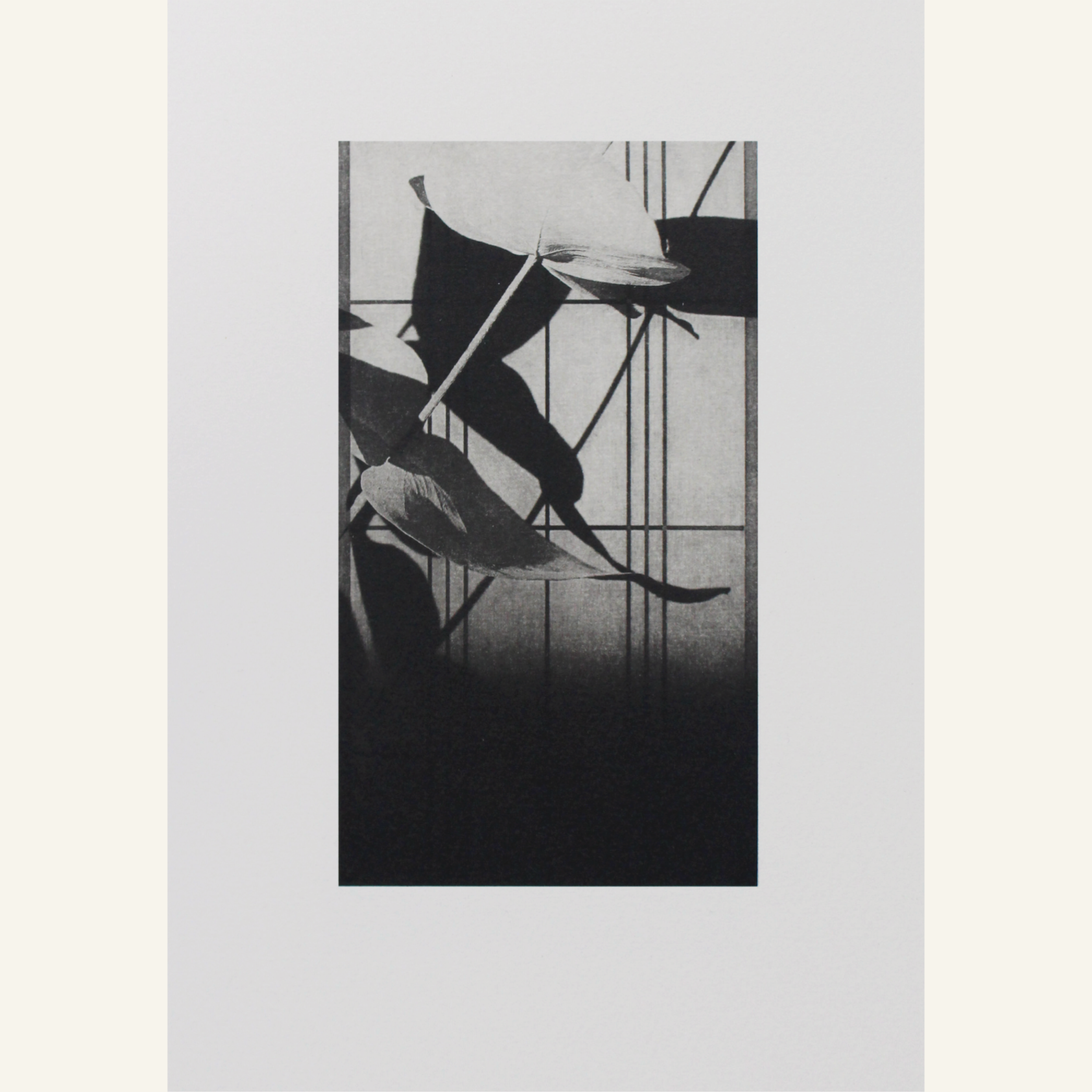 Amy-Jane Blackhall | Shoji 2