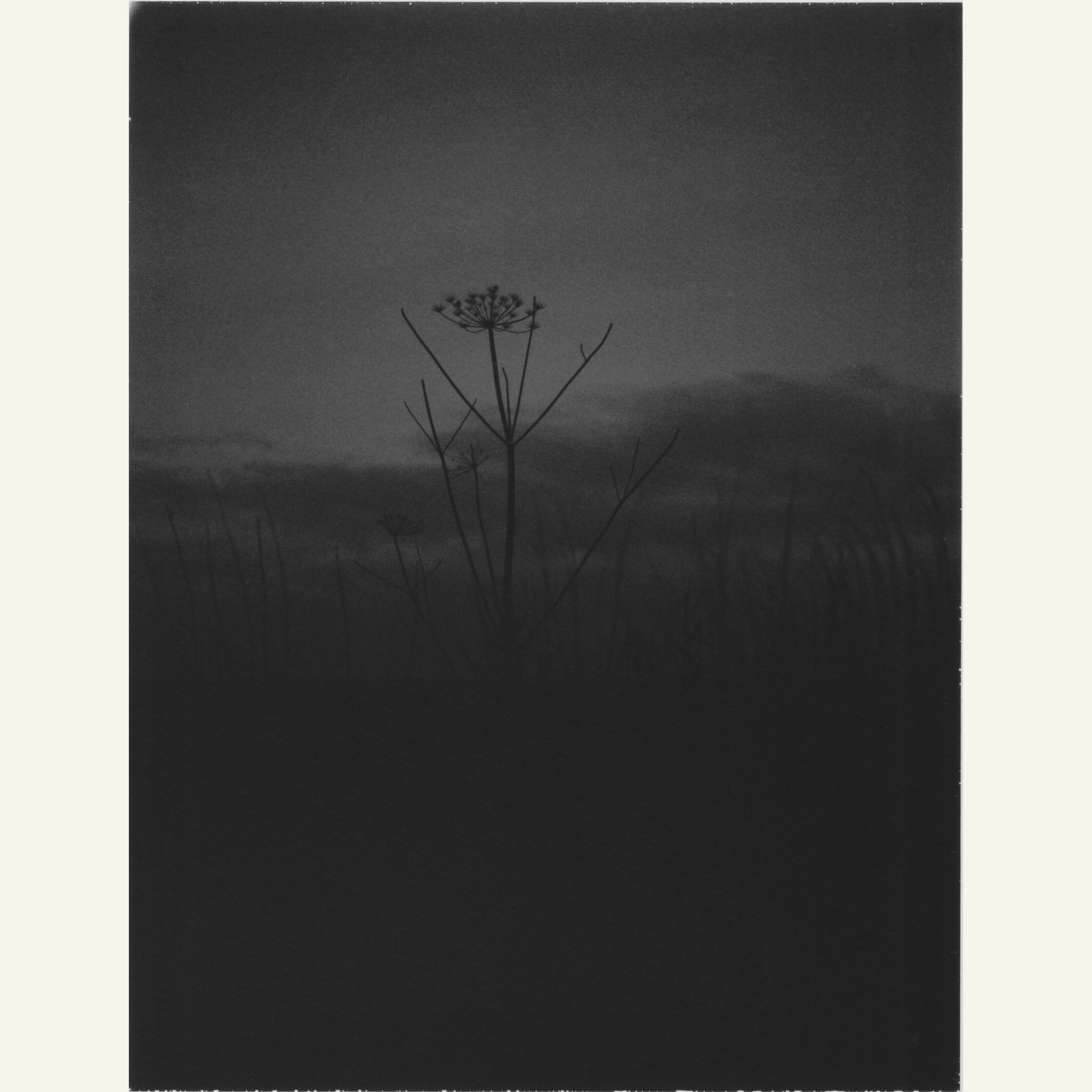 Cyrus Mahboubian  | Dusk in Winter, Oxfordshire (unframed).png