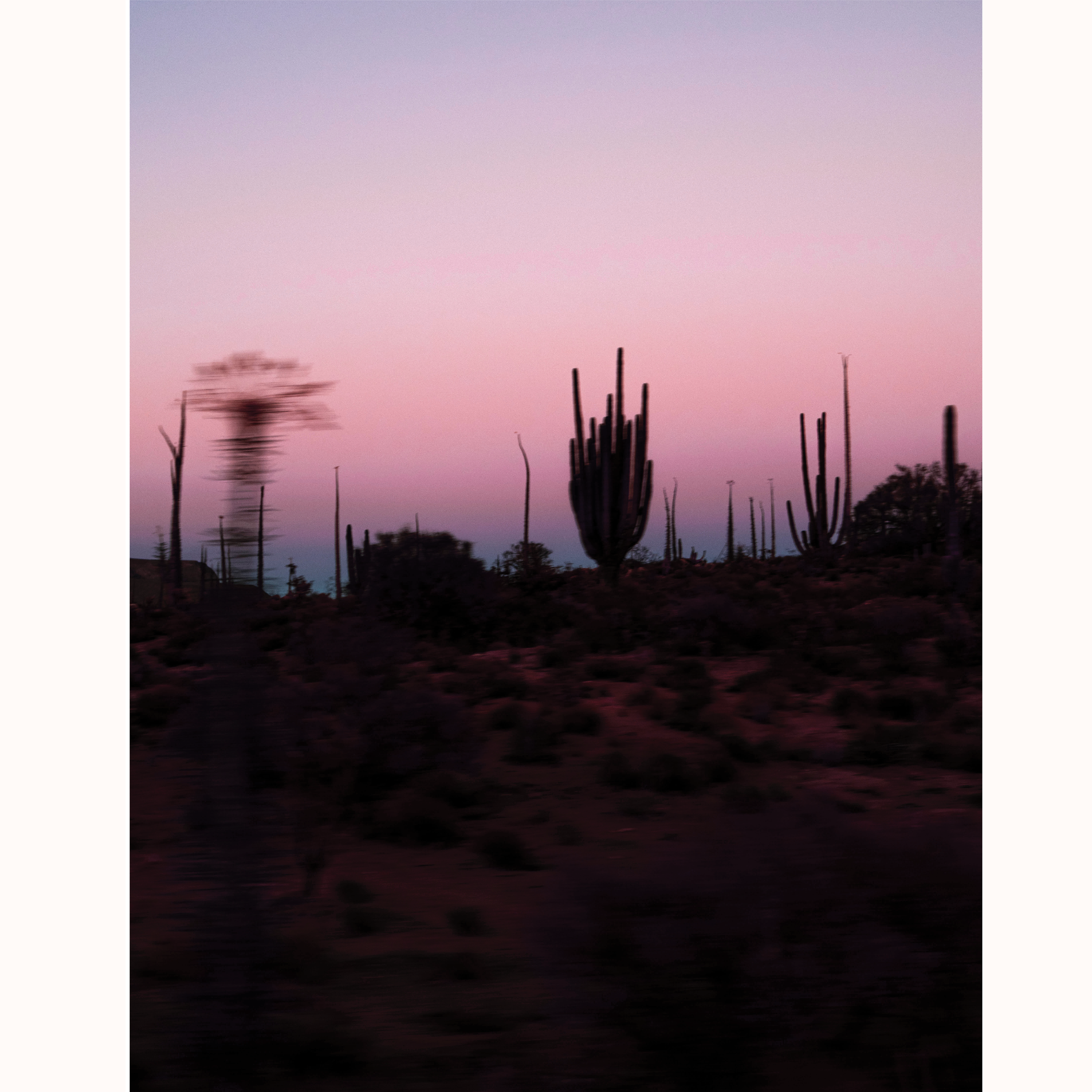 Luke Lovell | Baja Sur 2020
