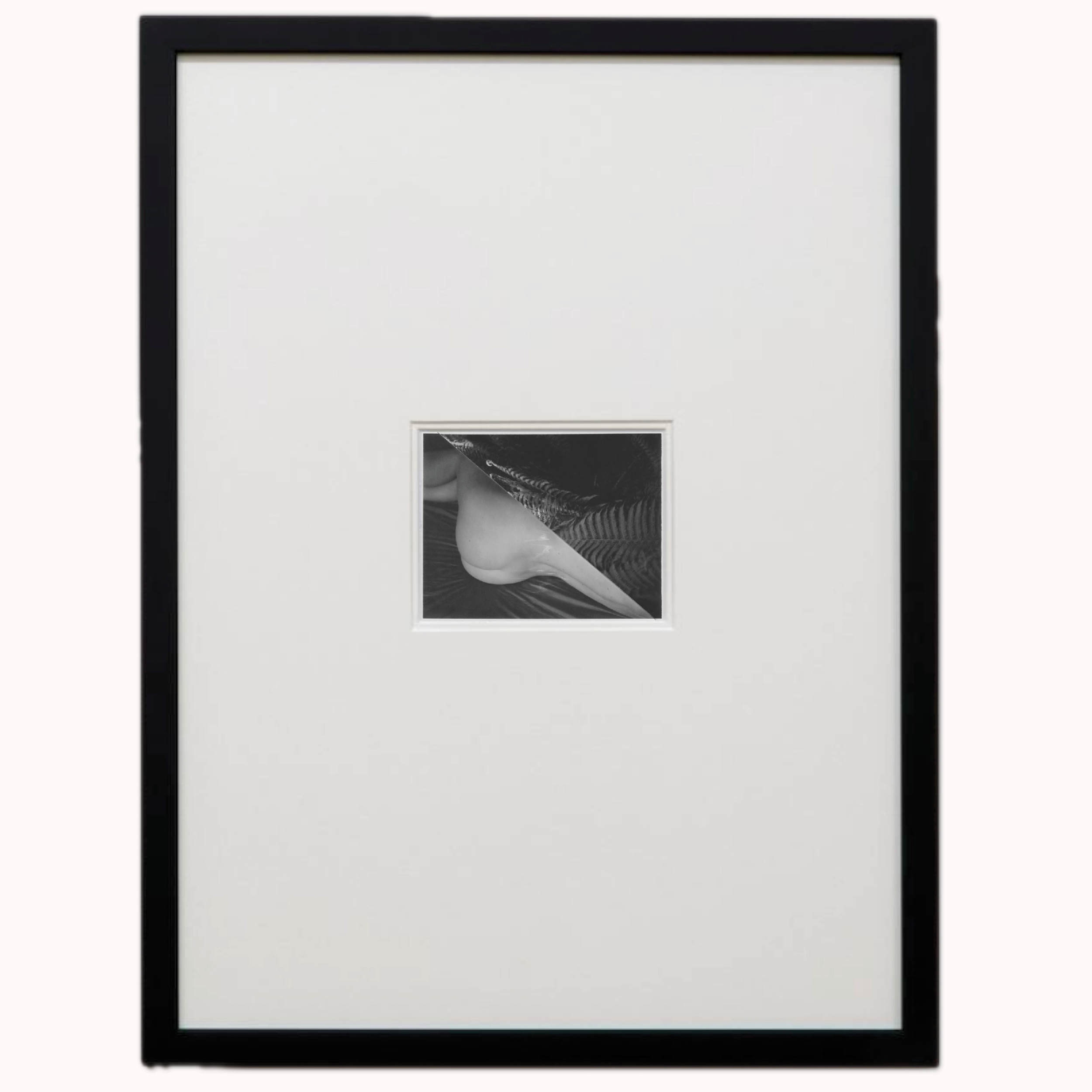cyrus mahboubian frame image.png
