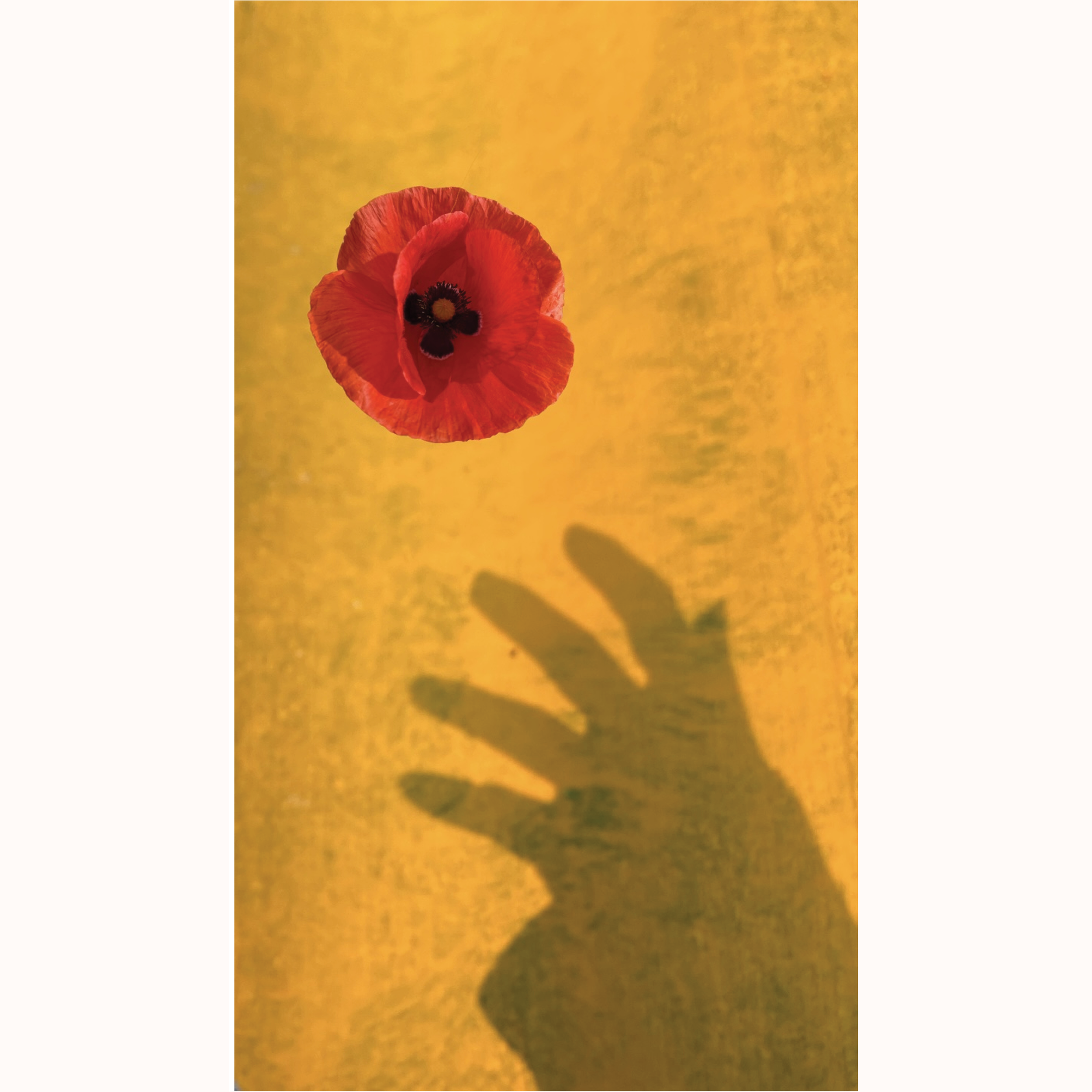 Rehaf Al Batniji | Empty Paradise