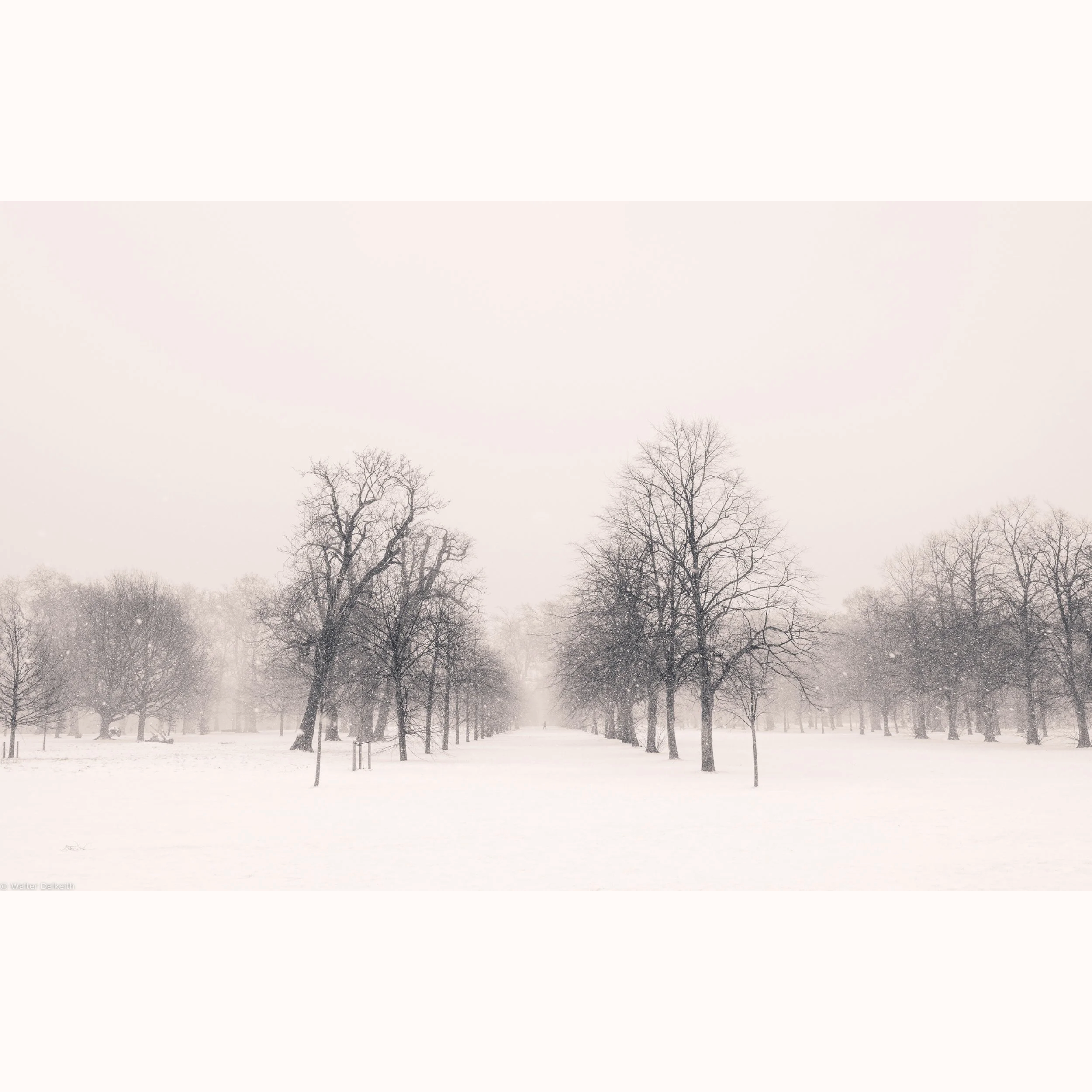 Walter Dalkeith  |  Out Alone in the Cold No. 1
