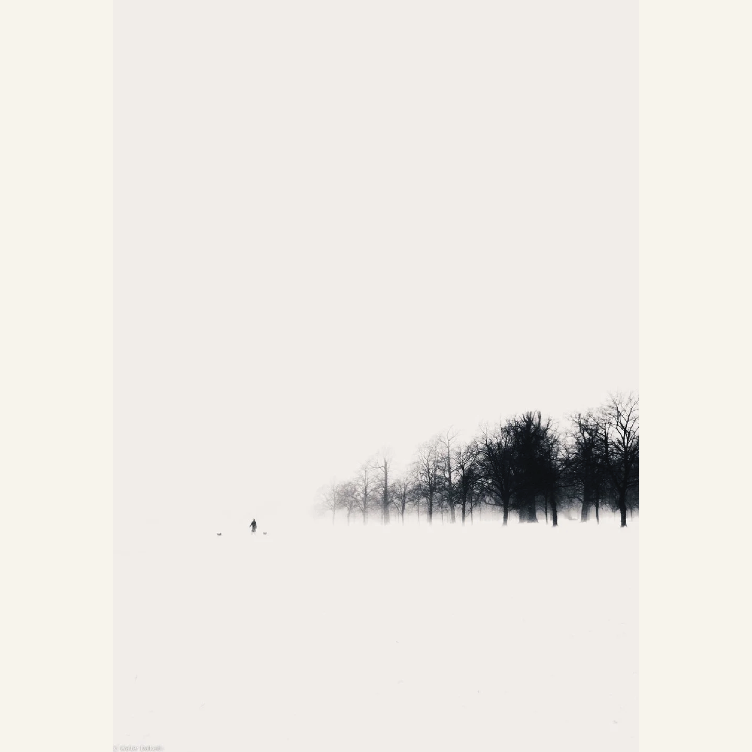 Walter Dalkeith  |  Out Alone in the Cold No. 6