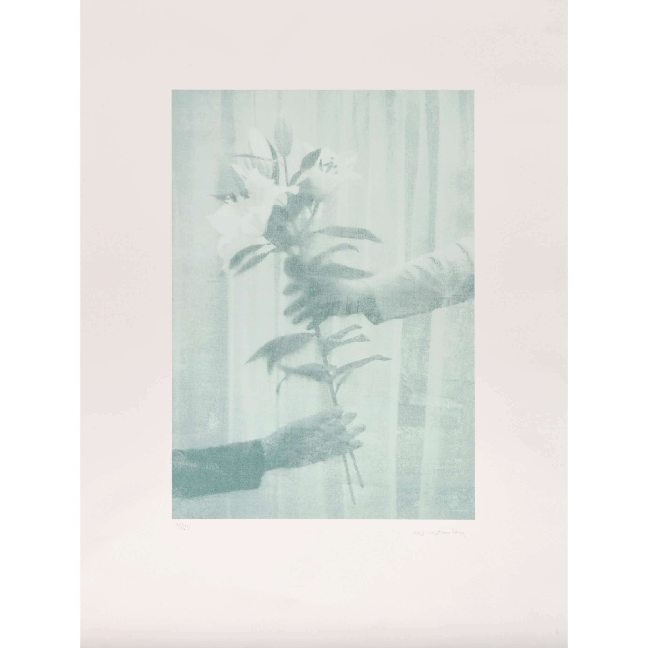Paul Winstanley | Lililes