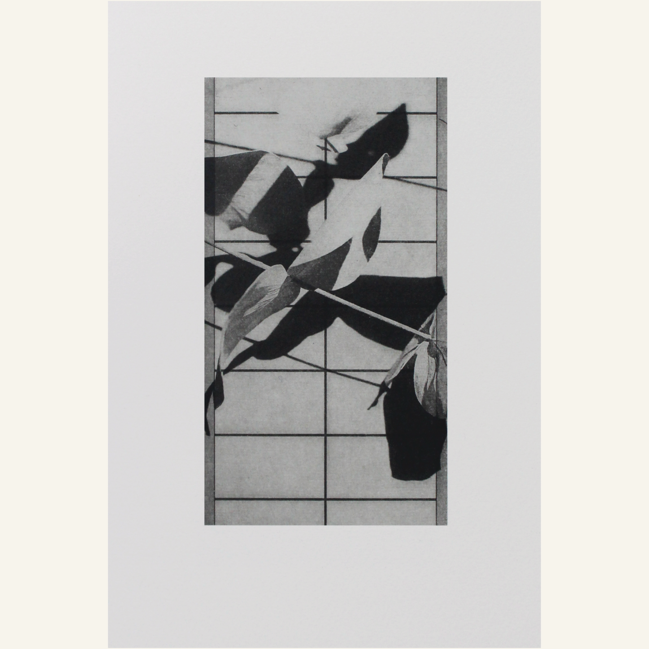 Amy-Jane Blackhall | Shoji 1
