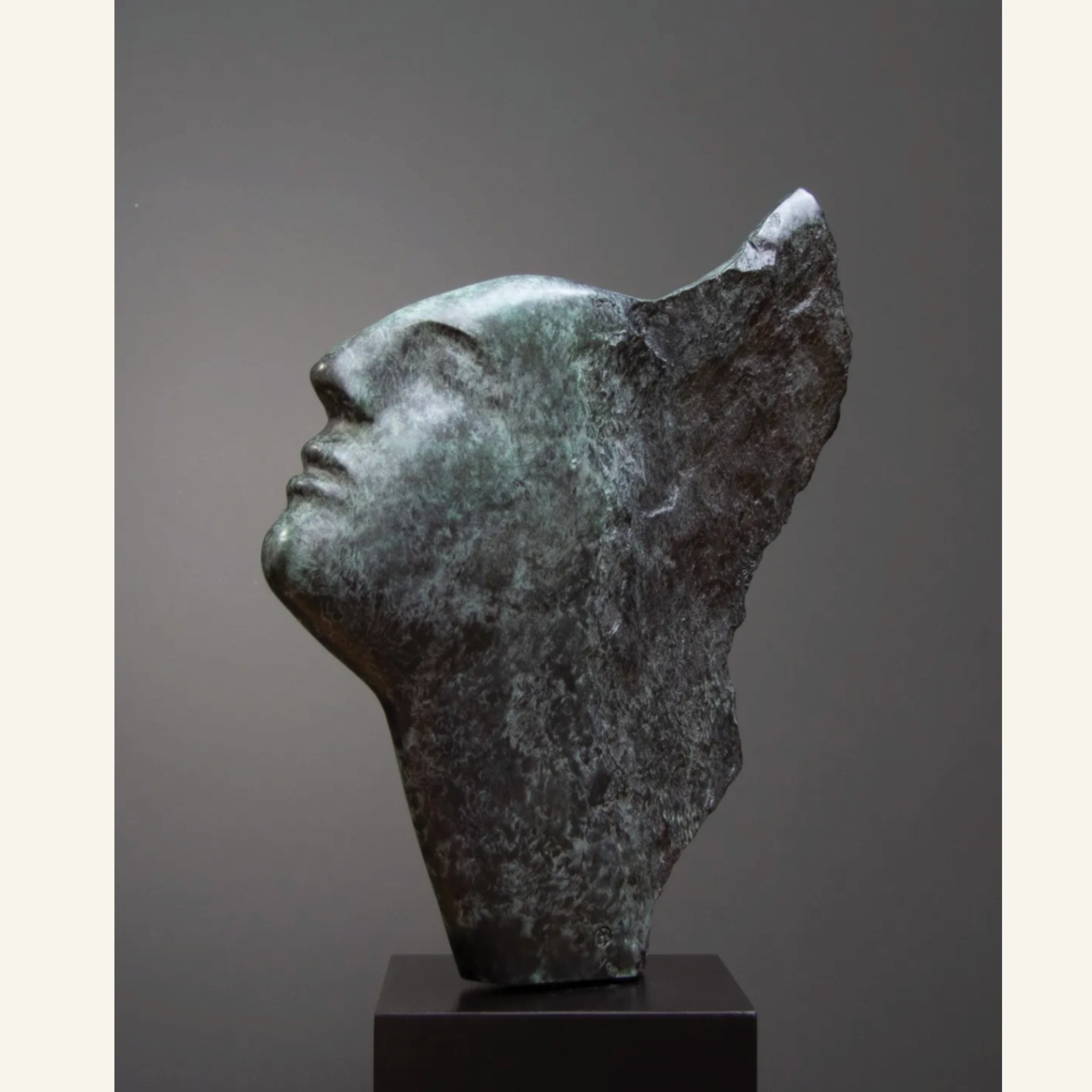 Emily Young | Connemara Head.png
