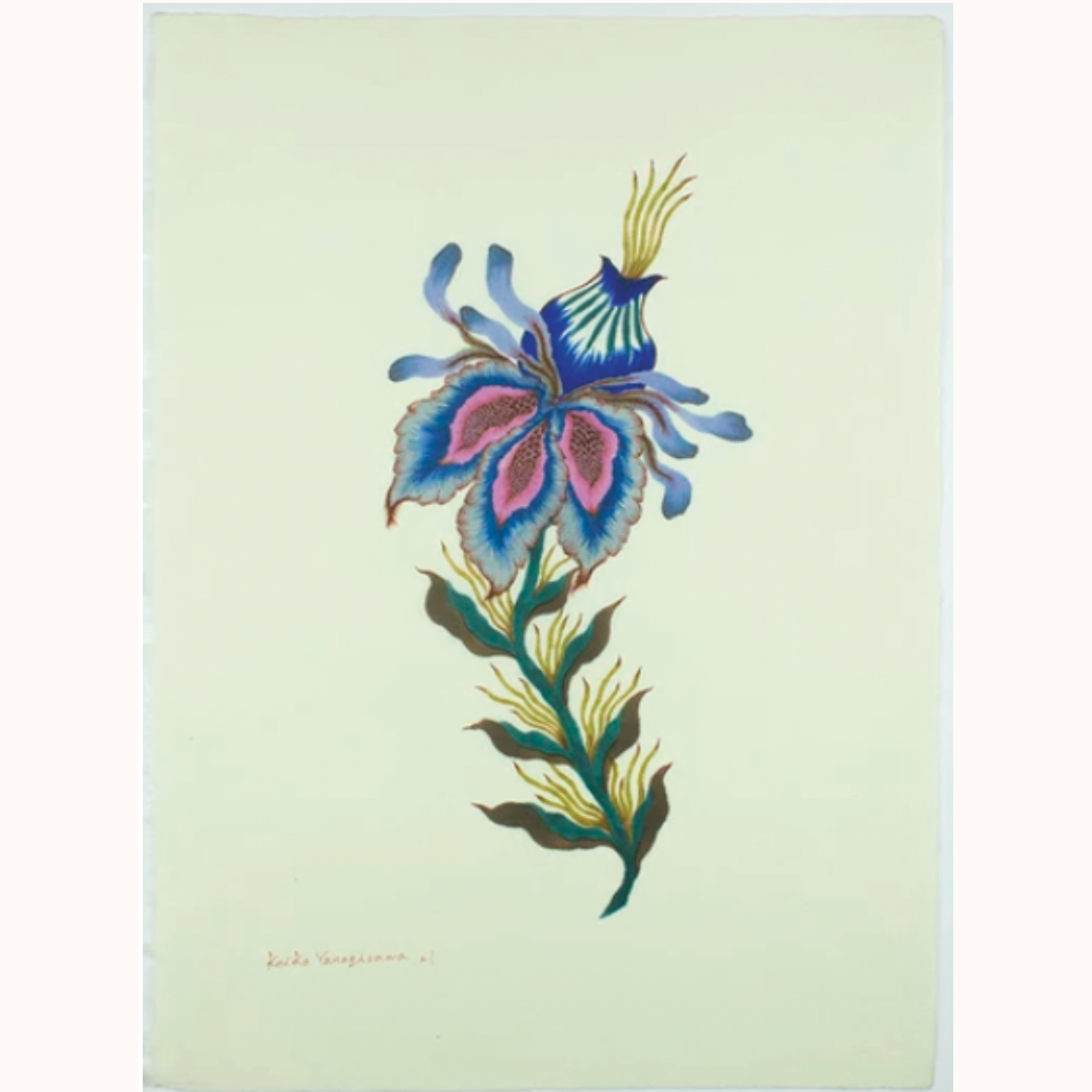 Keiko Yanagisawa | 24 Seasons Series 2.png