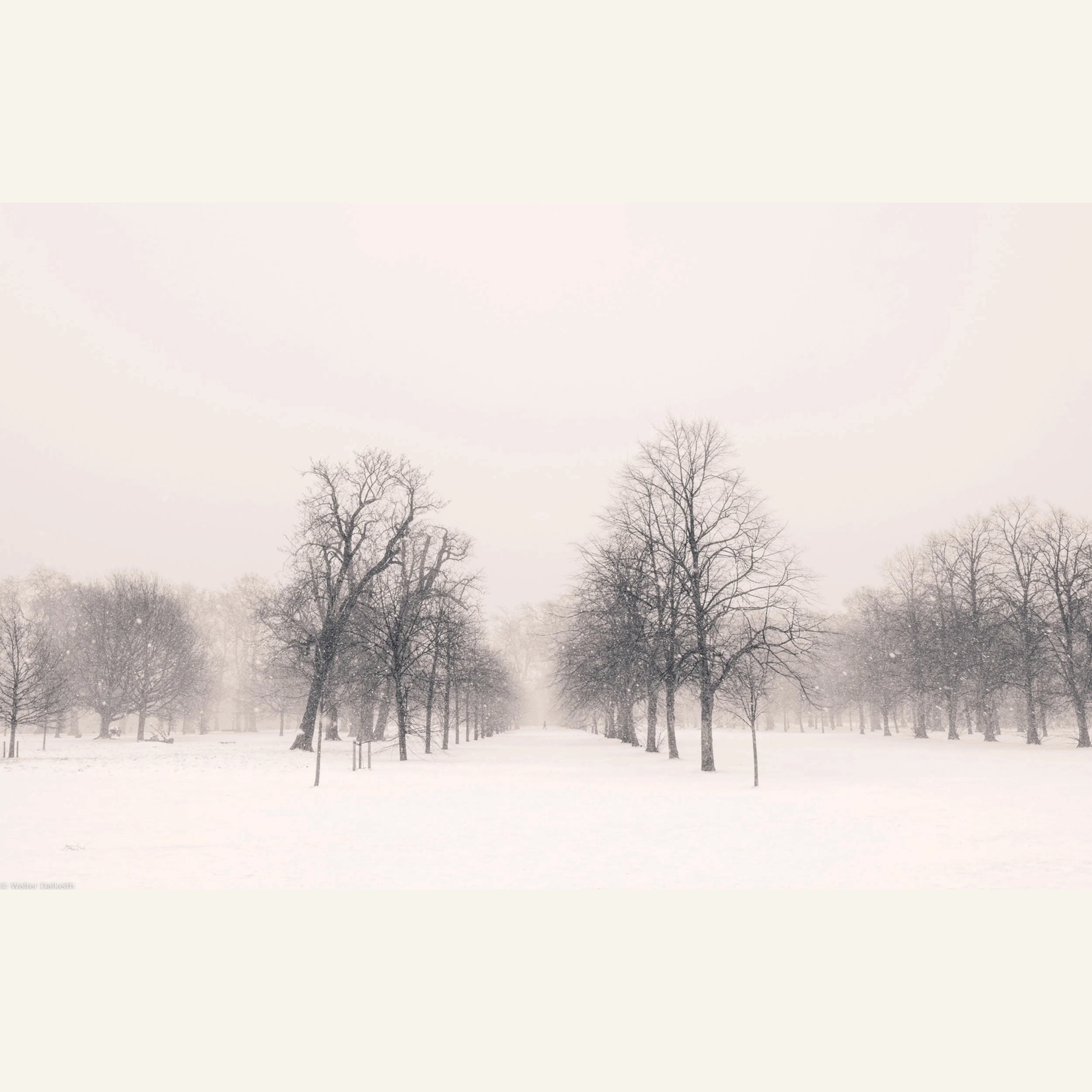 Walter Dalkeith  |  Out Alone in the Cold No. 1