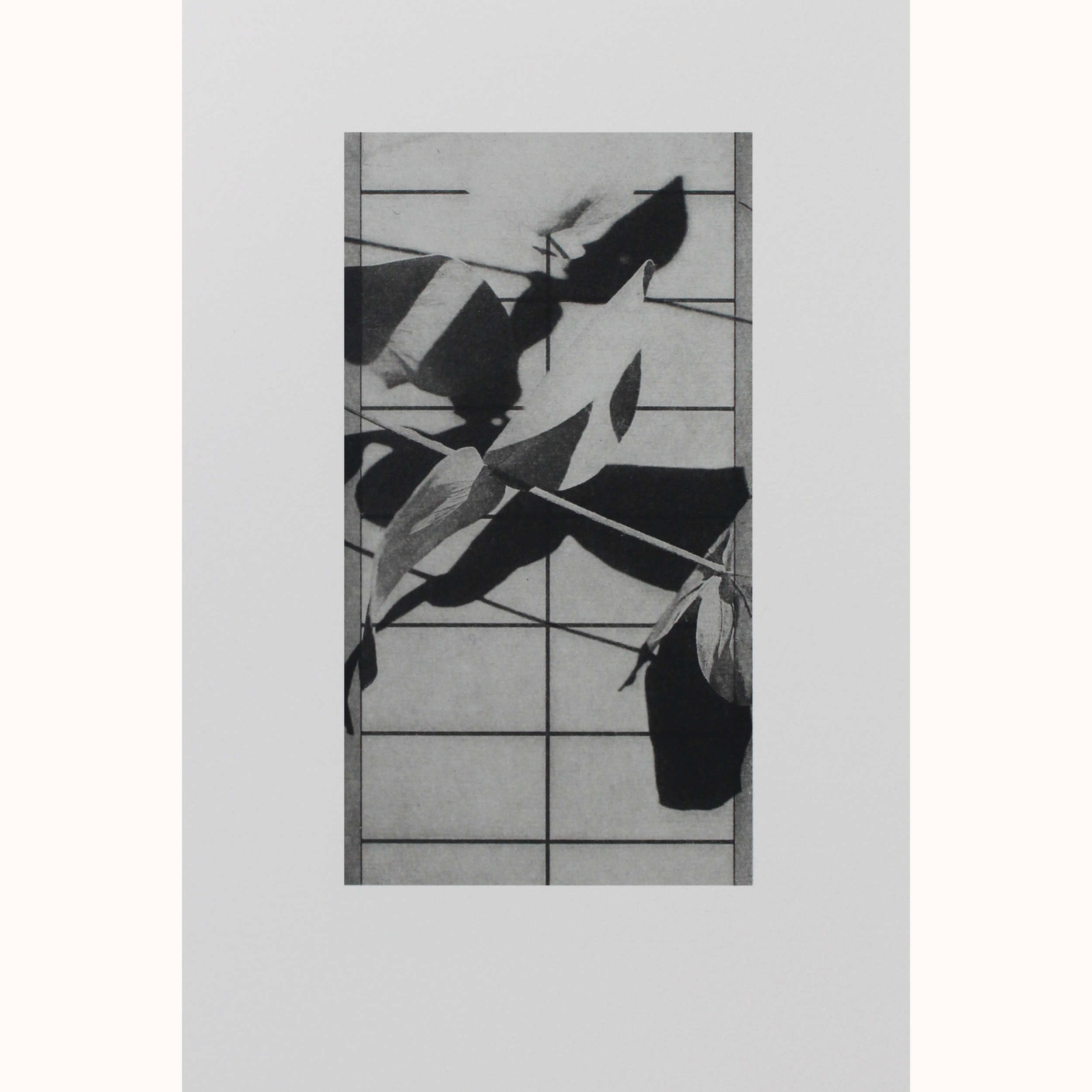 Amy-Jane Blackhall | Shoji 1