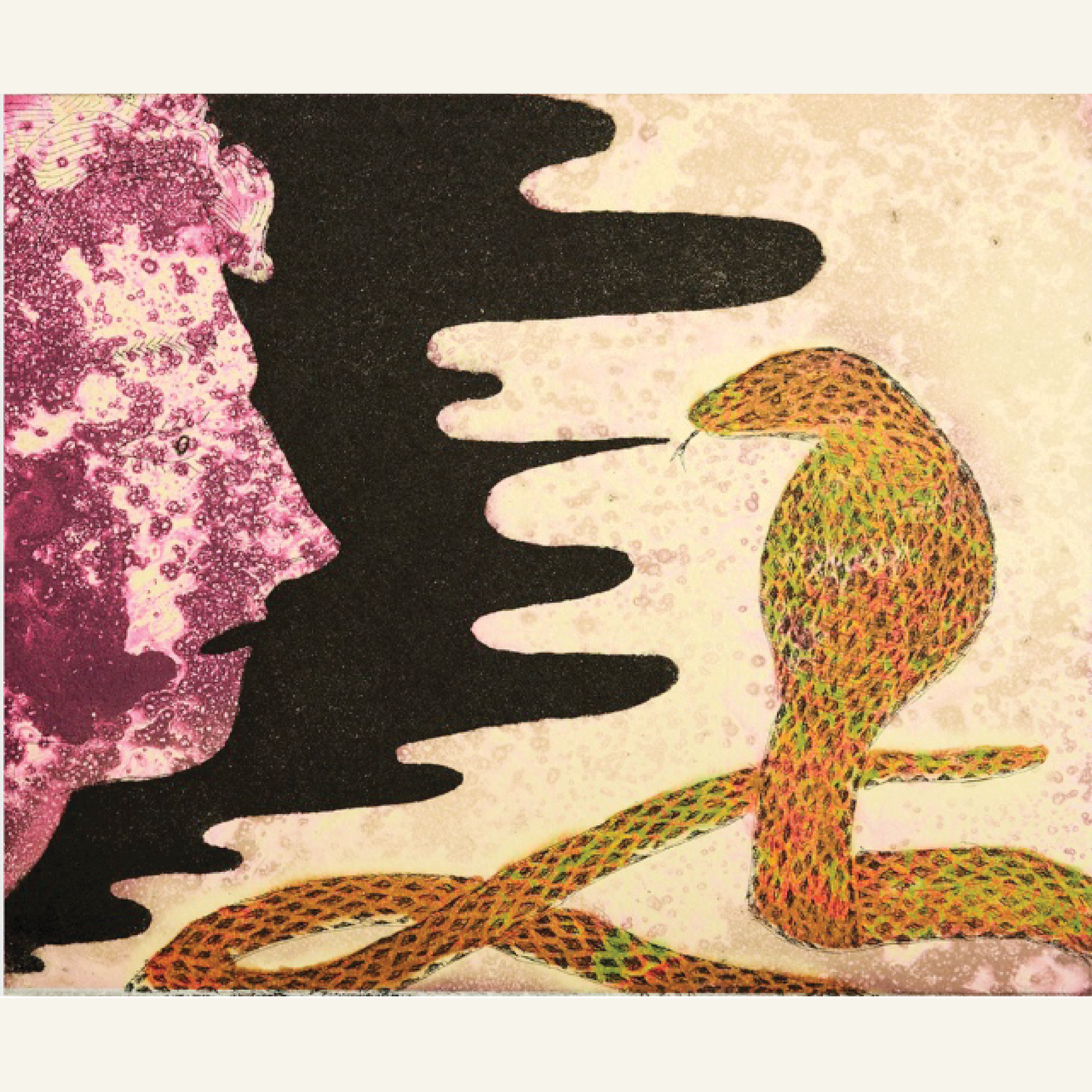 Stephen Chambers | 'Cobra'
