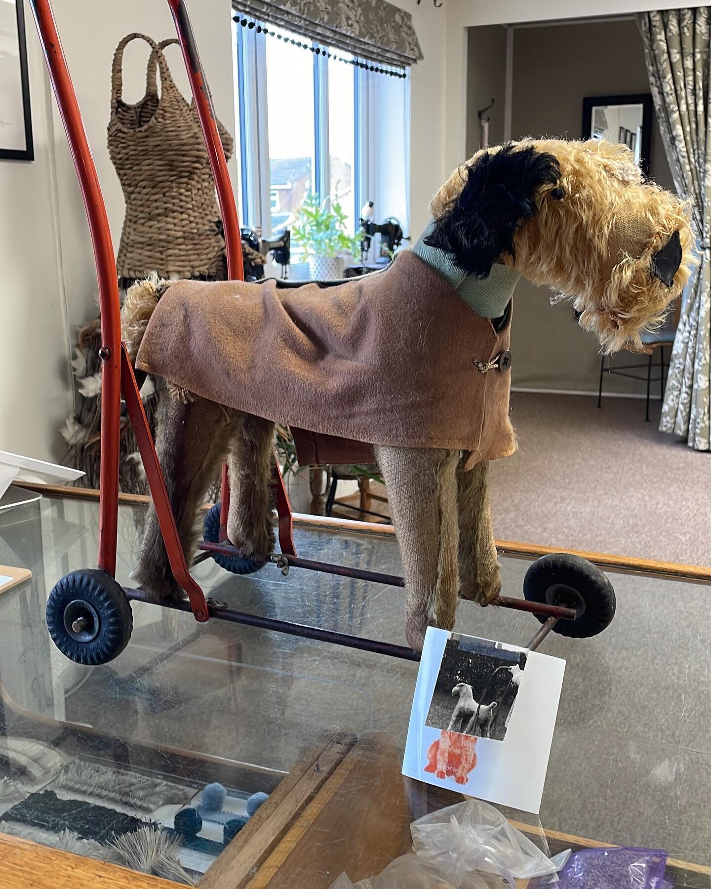 We have been trusted with this well loved little fella today.

He&rsquo;s in for some much needed TLC and a tail lift! 

We are in love! ❤️

#repair 
#repairshop 
#seamstress 
#alterationsandrepairs 
#textile 
#toy 
#toydog