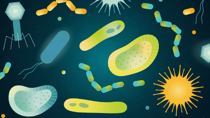 2023_EngineeredMicrobes_800x450-2.gif