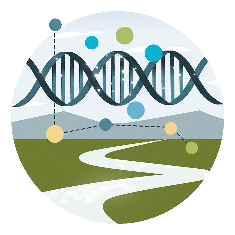Enigma-800x800px_Icons-Microbes_V2.png