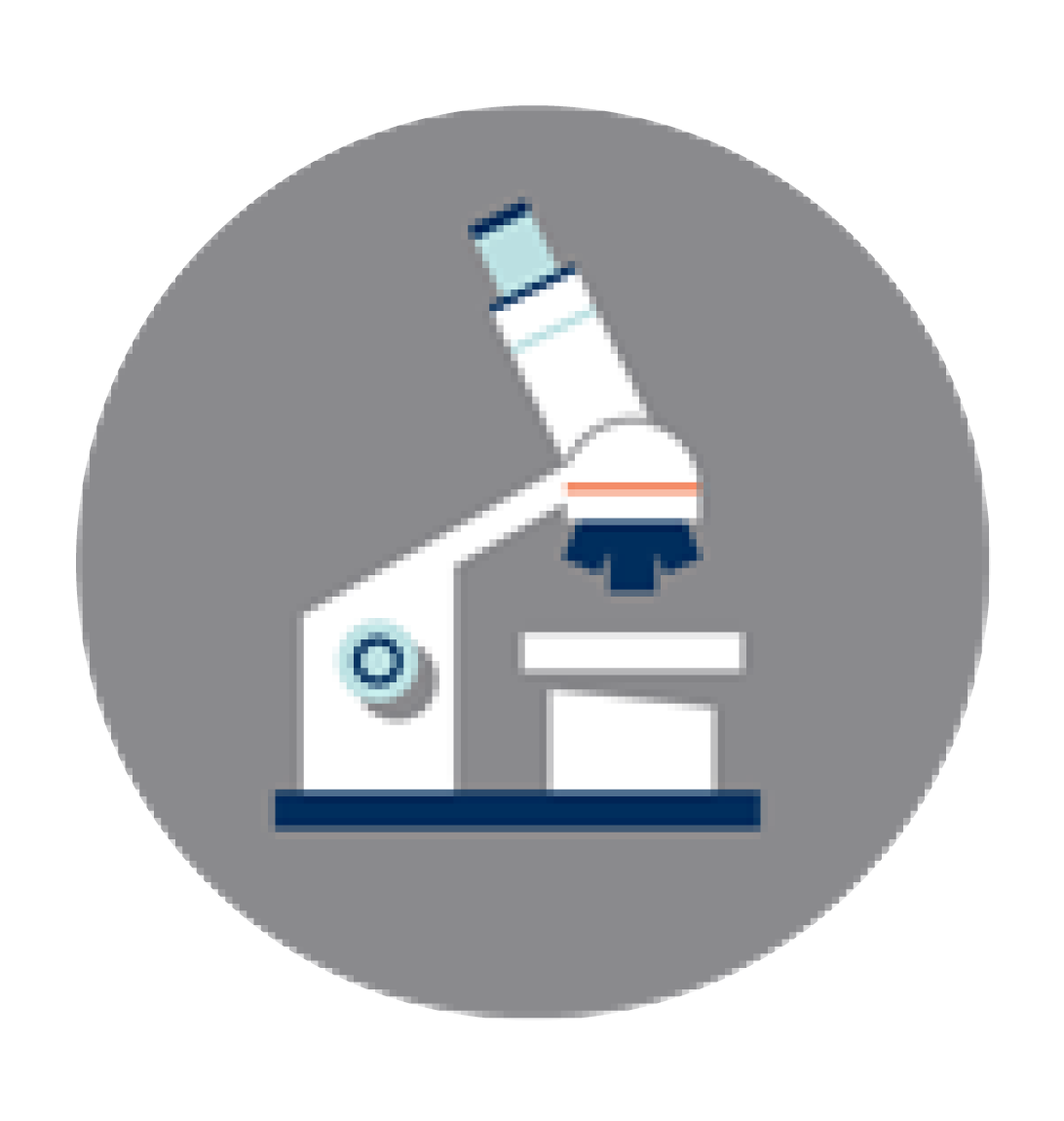 icons-rmdi1-01.webp