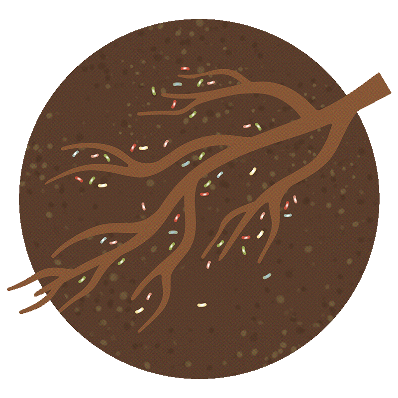 M-CAFEs-800x800px_Icons-Microbes.png