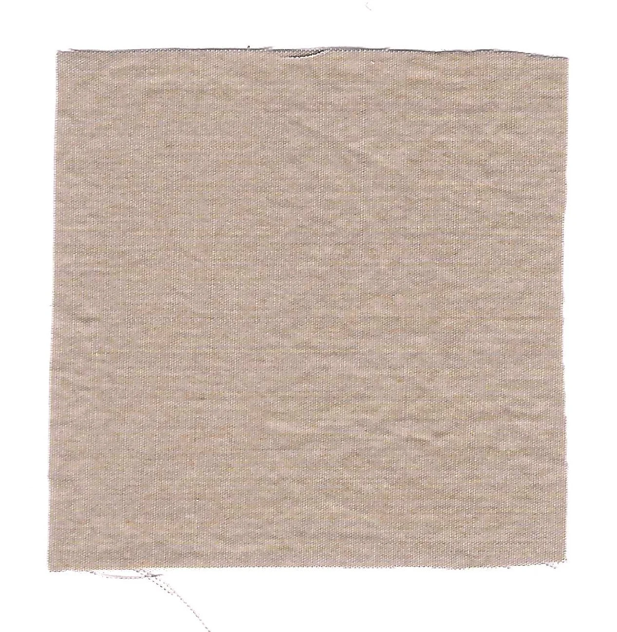 light popeline Sabbia.jpg