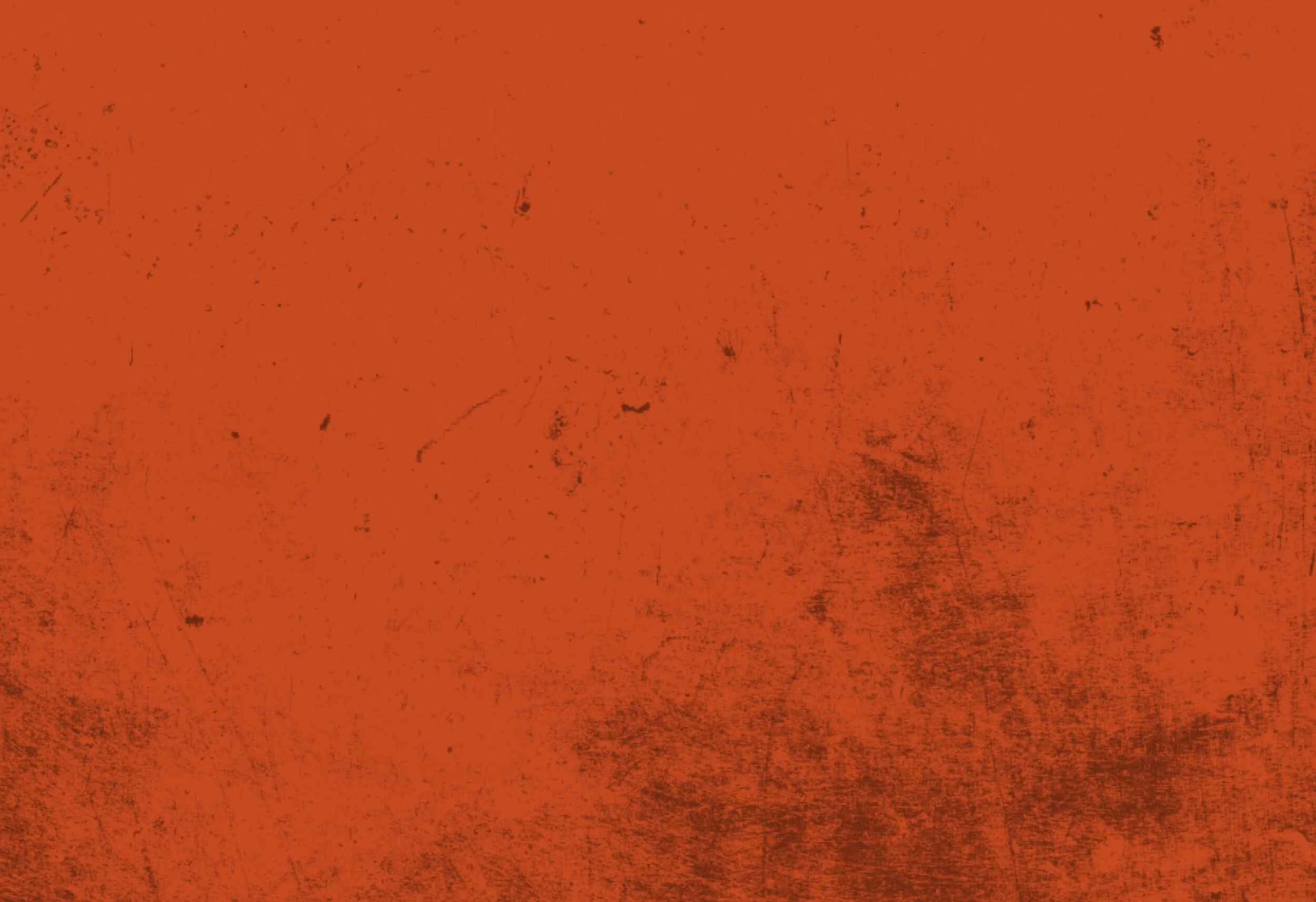 Our Work — DIGDEEP