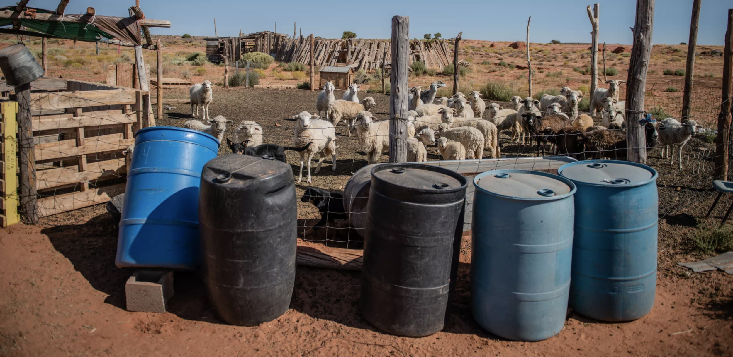 The Navajo Nation faced water shortages for generations - and then the pandemic hit