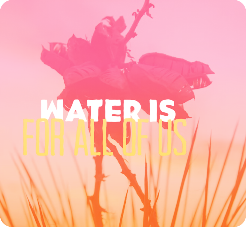 Water is for All of Us