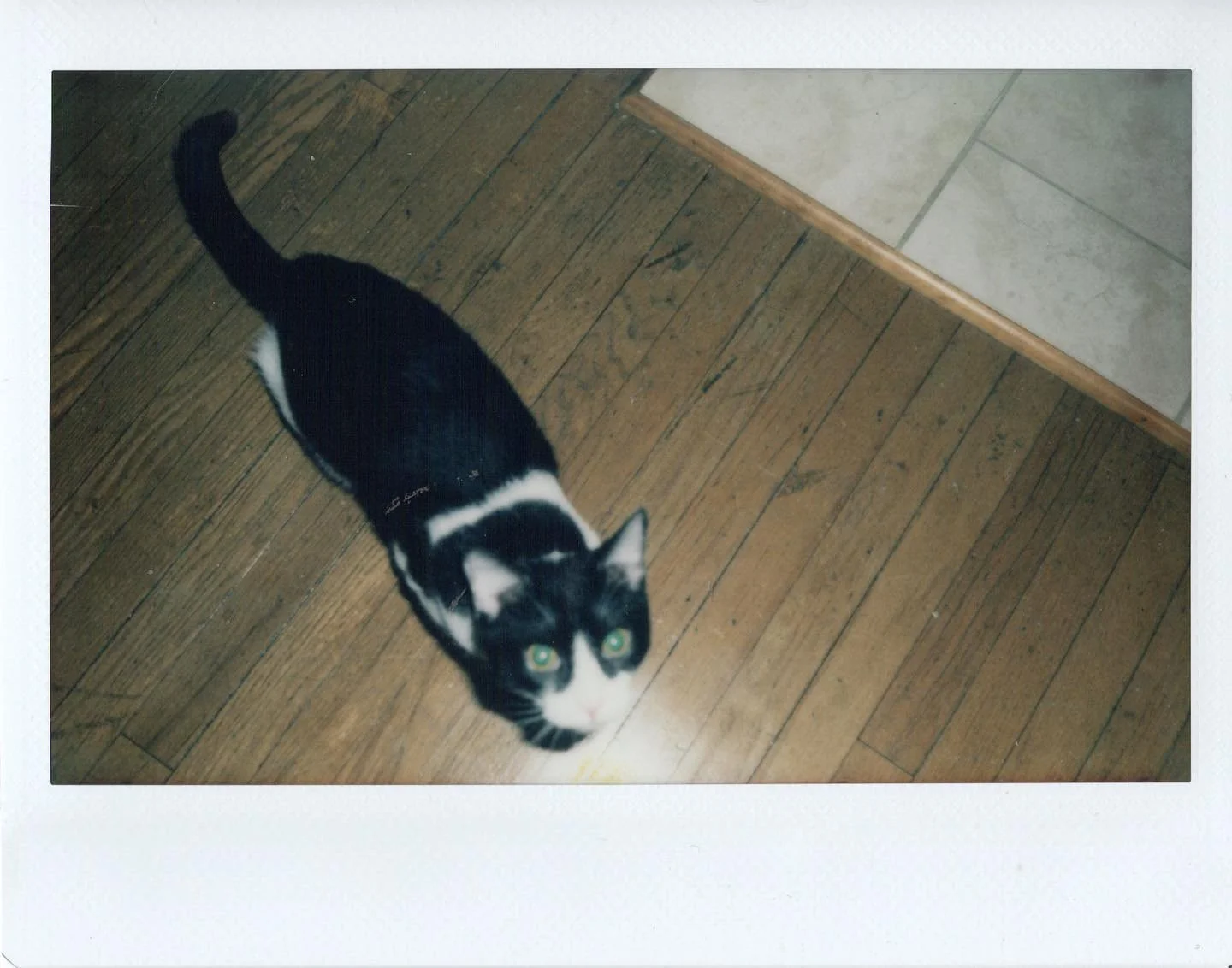 binky dinky baby (2022)