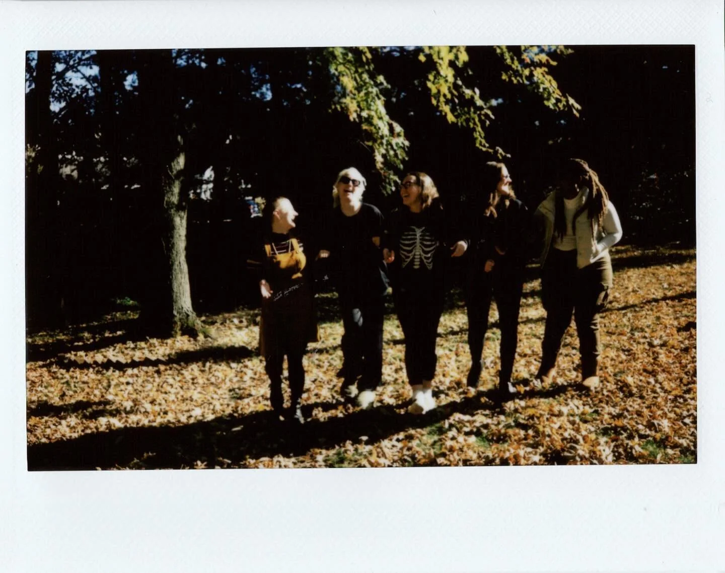 walking in the leaves (2024)