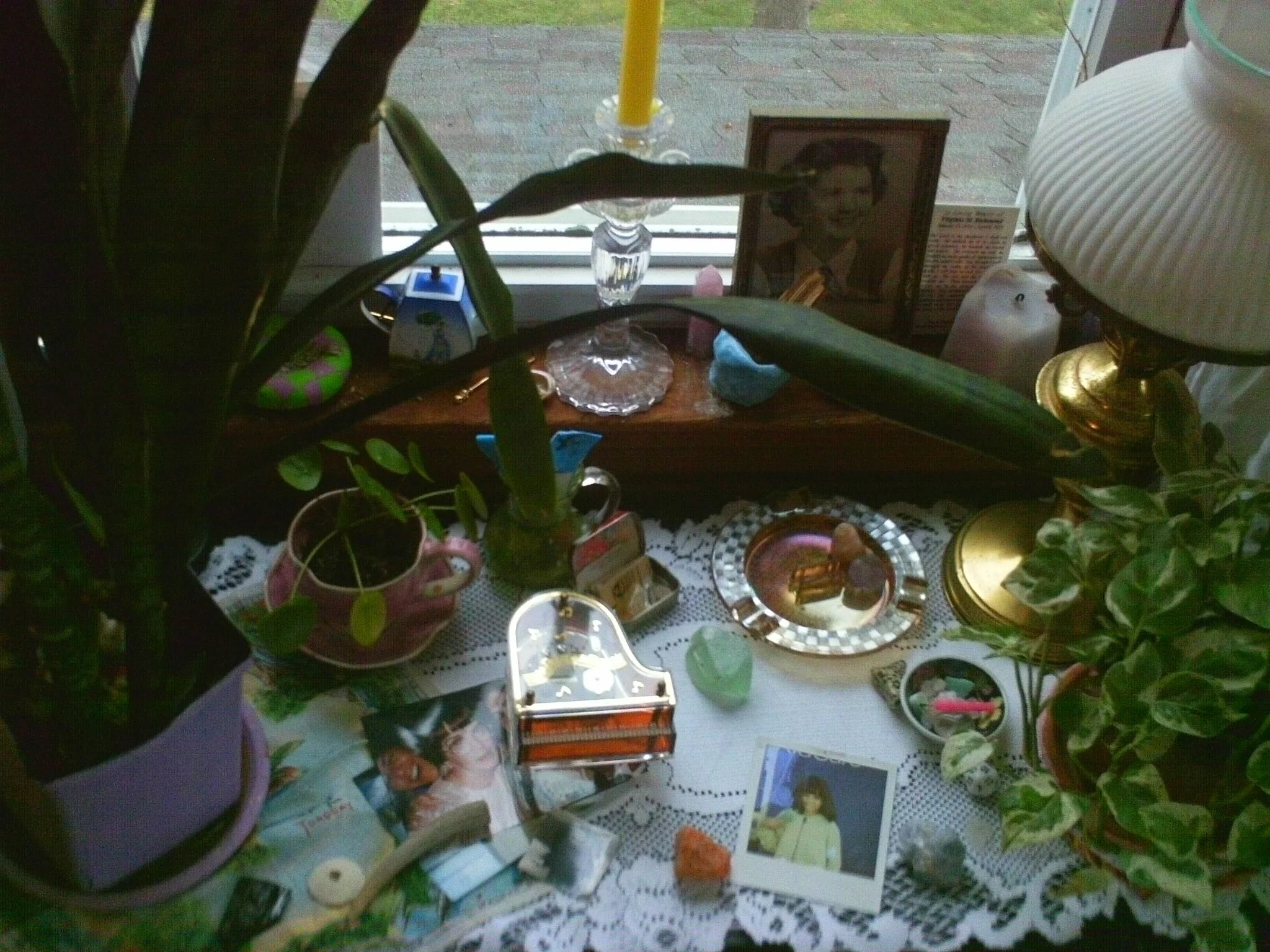 IMAG0139.JPG