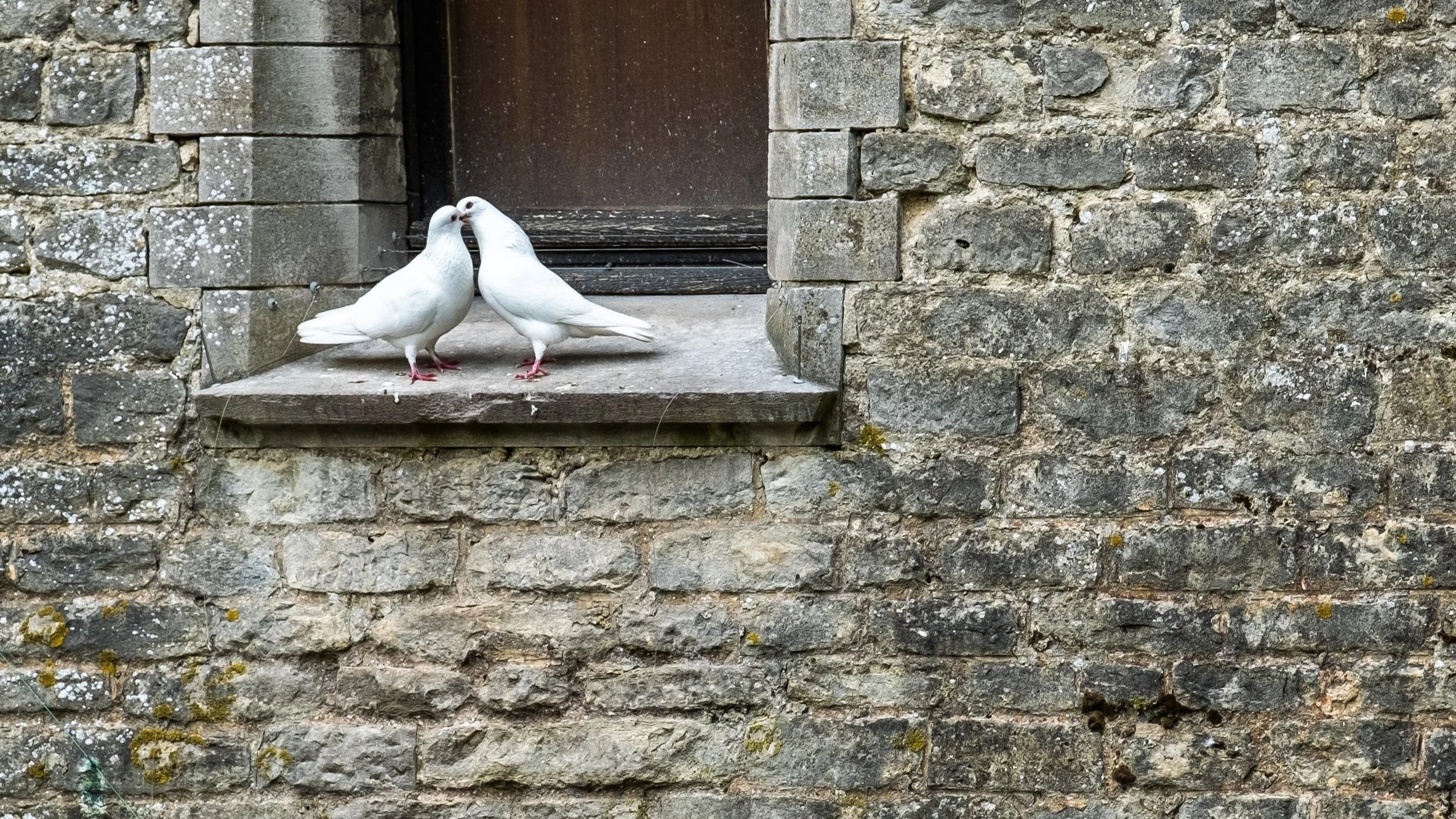 7 Essential Truths to Unlock Longevity in a Lifelong, Loving Relationship