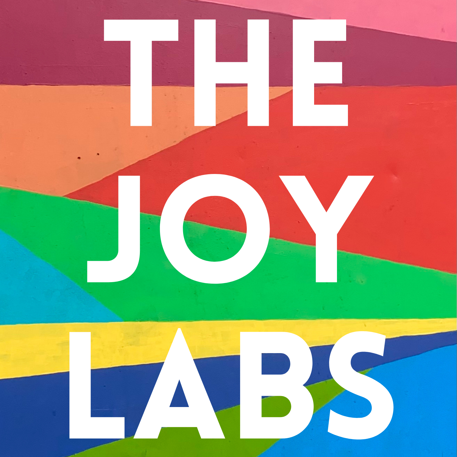 The Joy Labs