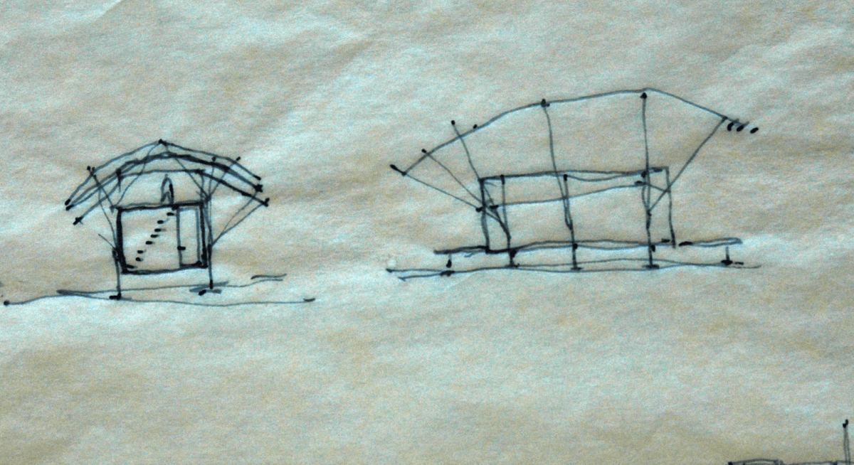 Sketch_Beetleback.png