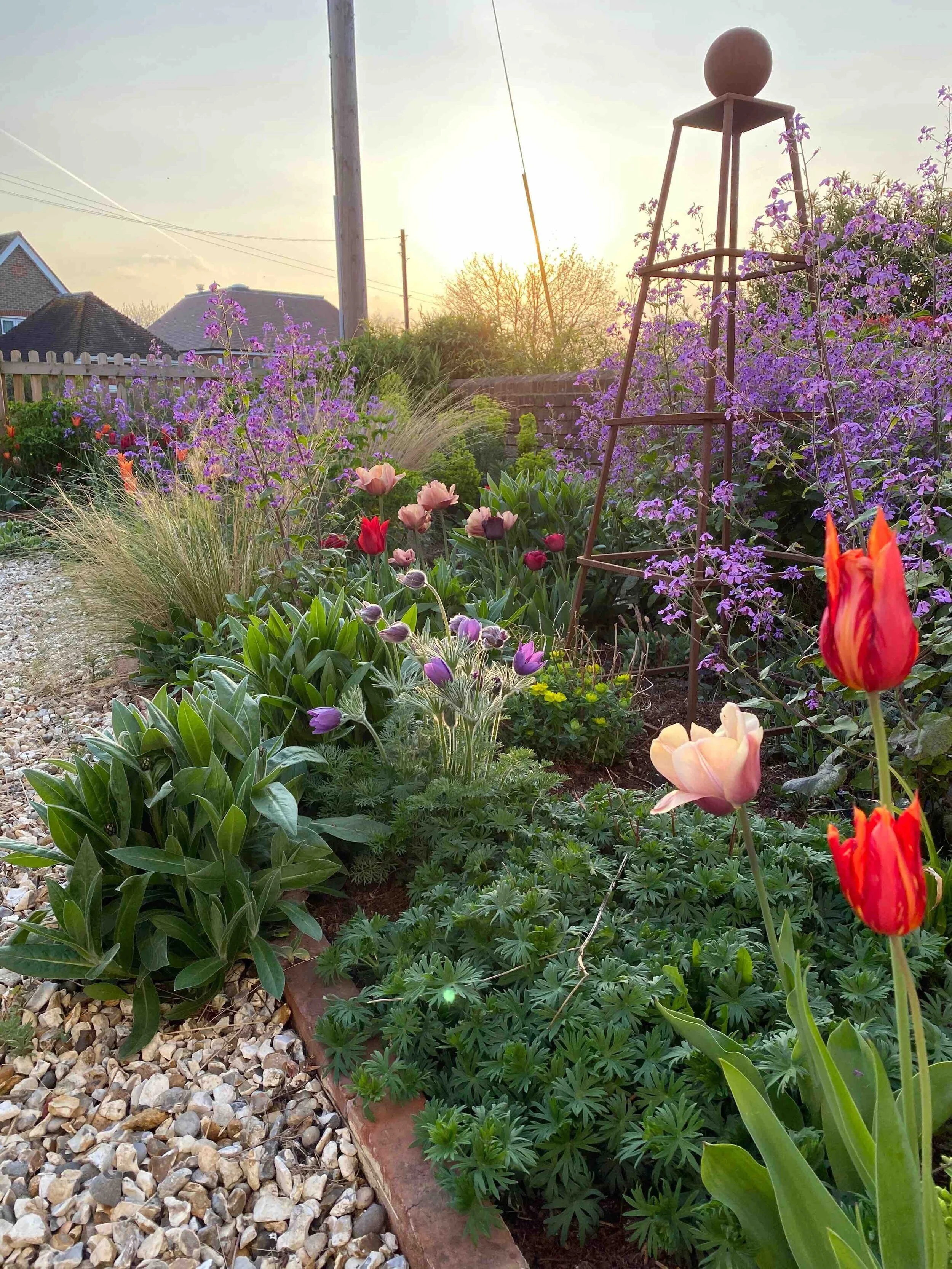 Garden Diary April 2020 