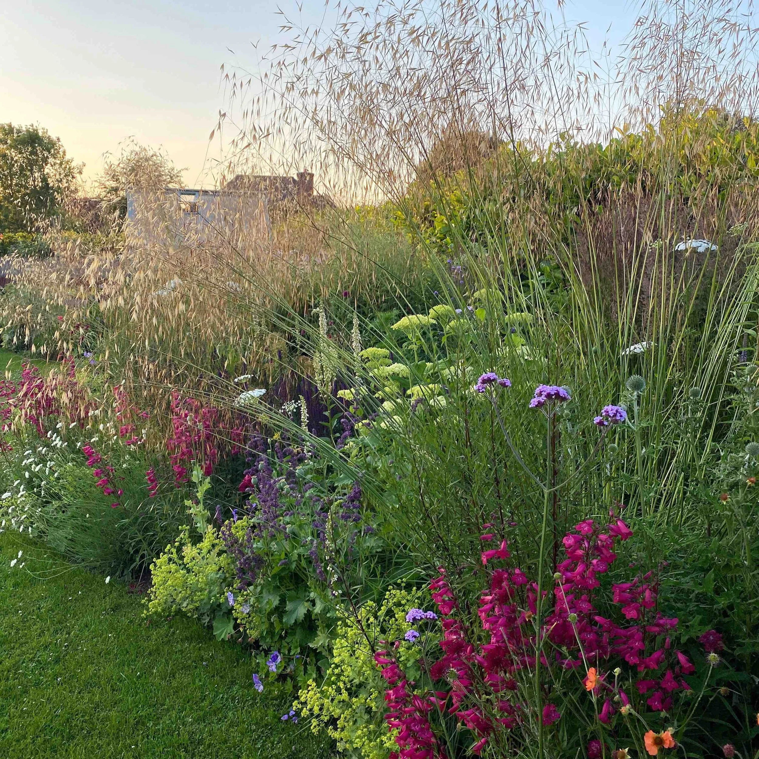 A Garden Sanctuary