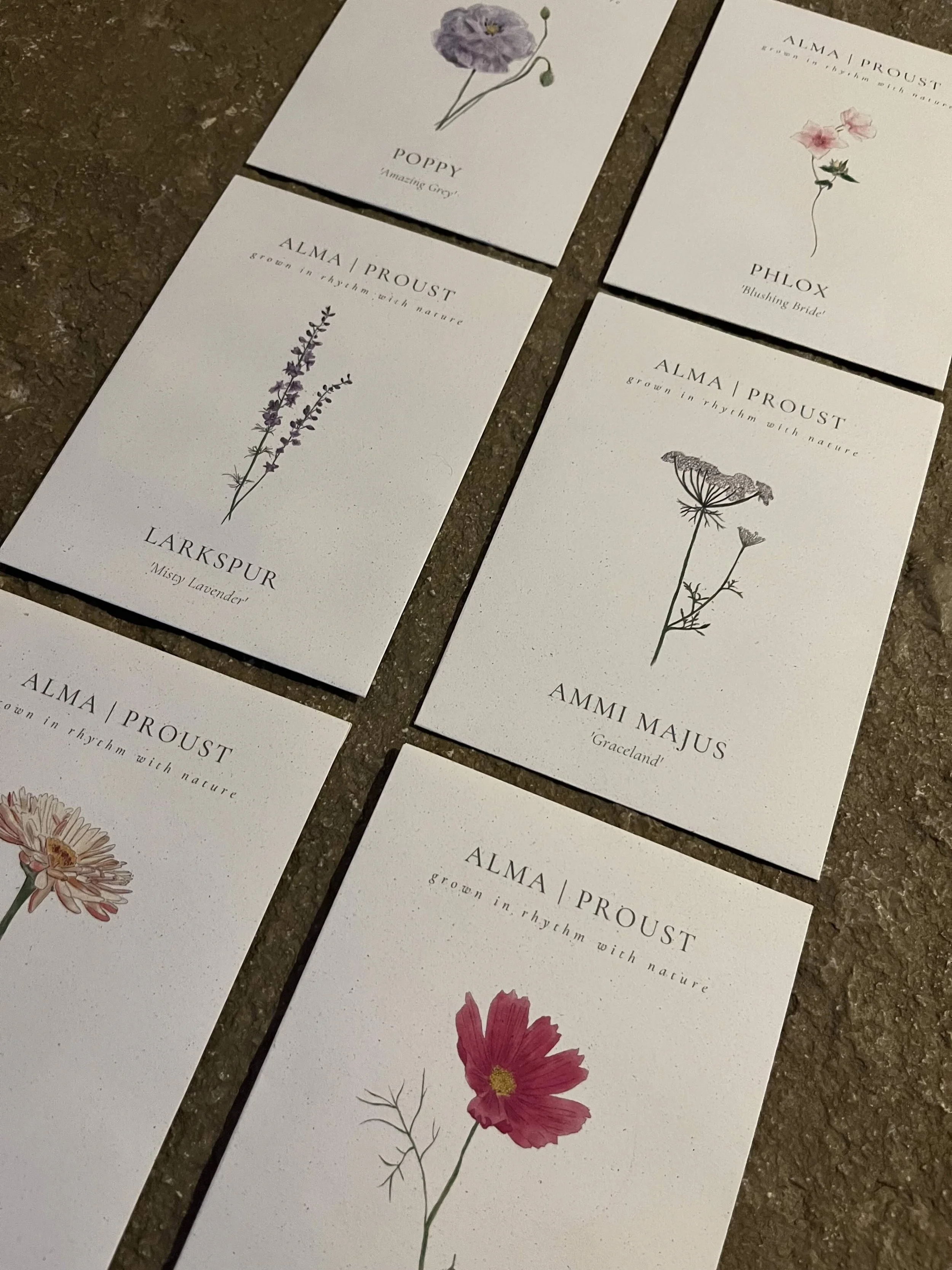 Cut Flower Seed Collection — Bud to Seed