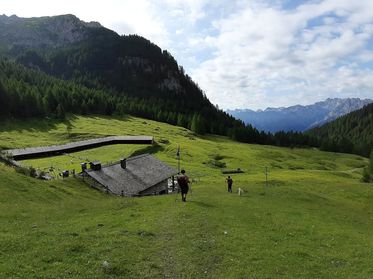 Alta Via di Forni