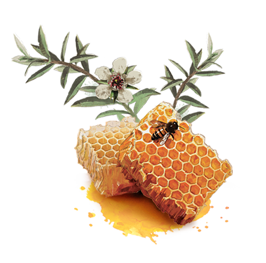 Honey-Manuka.png