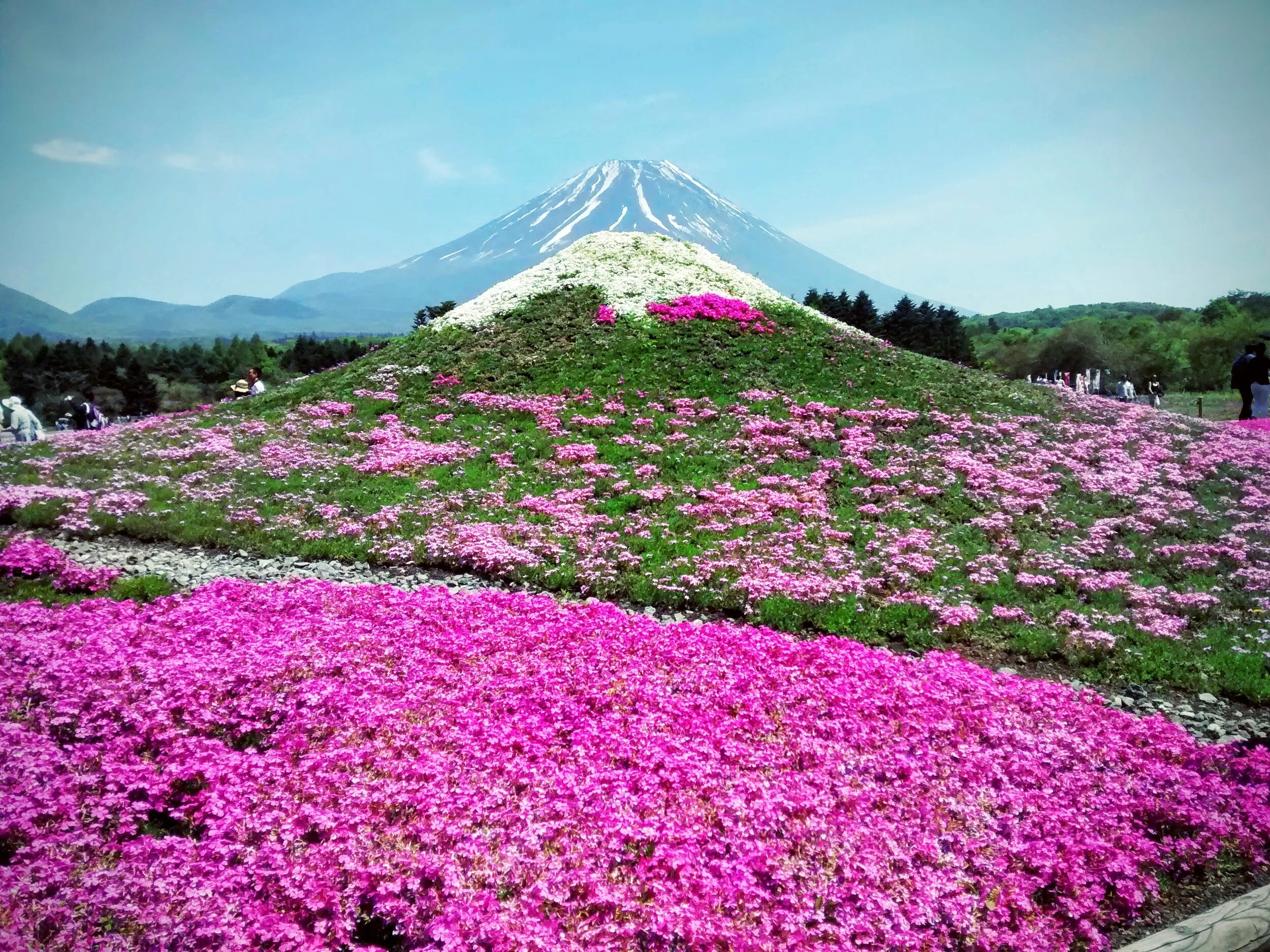 Mt Fuji   Read this site for a brief understanding of the spiritual significance of Japans highest mountain and sacred symbol of enlightenment https://sacredland.org/mount-fuji-japan/