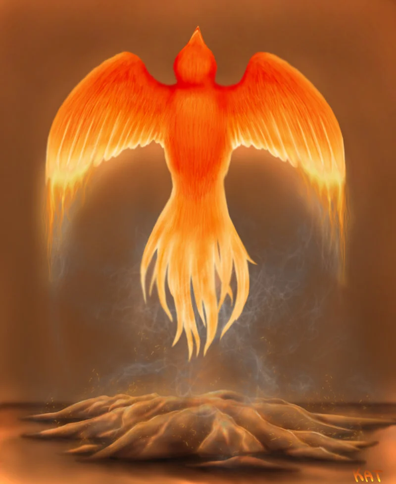 For the Story of the Phoenix - Read here