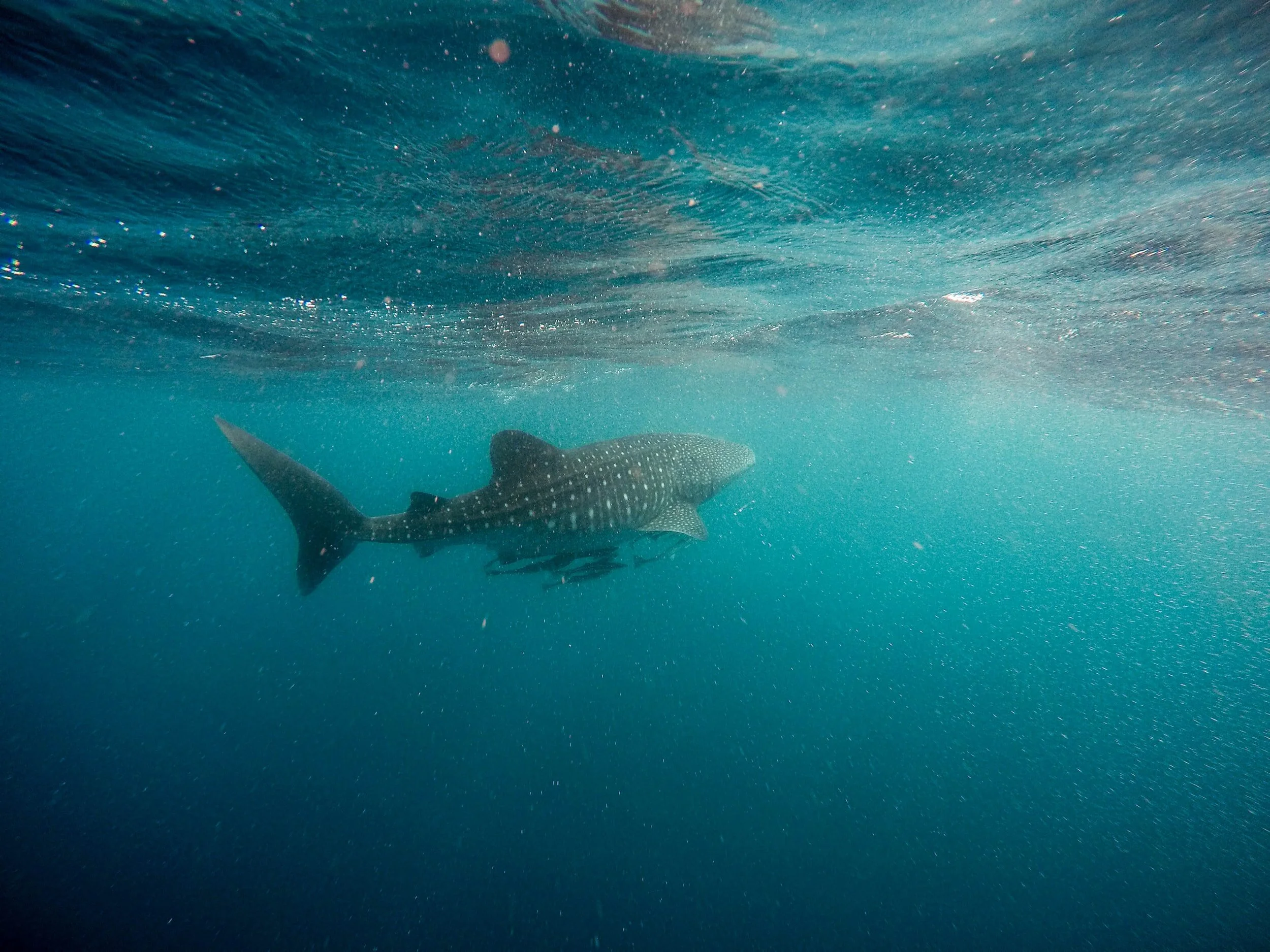 What is under the surface of your communications?