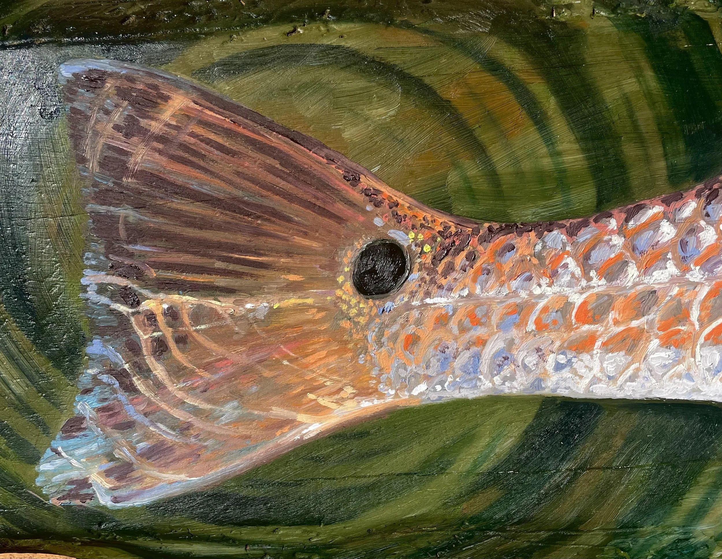 Redfish1.jpg