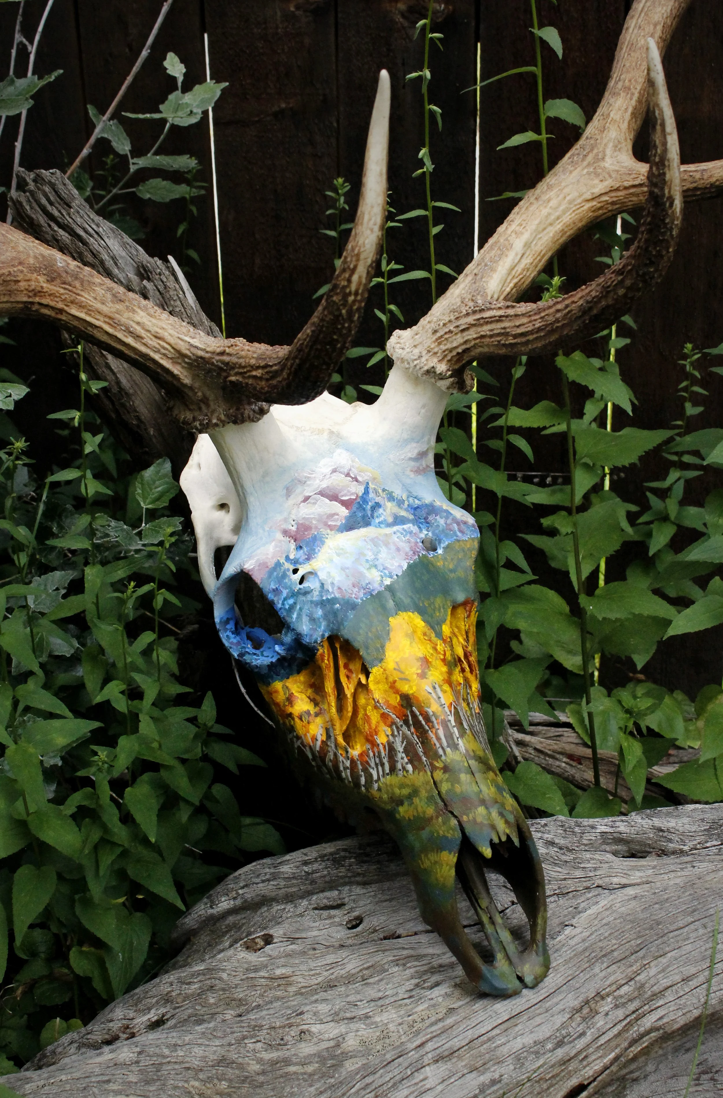 AspenElk2.jpg