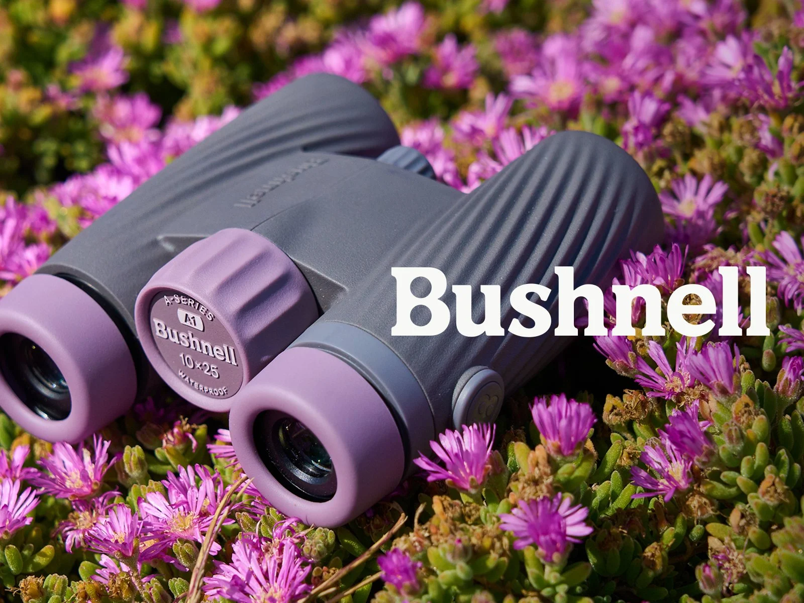 Bushnell