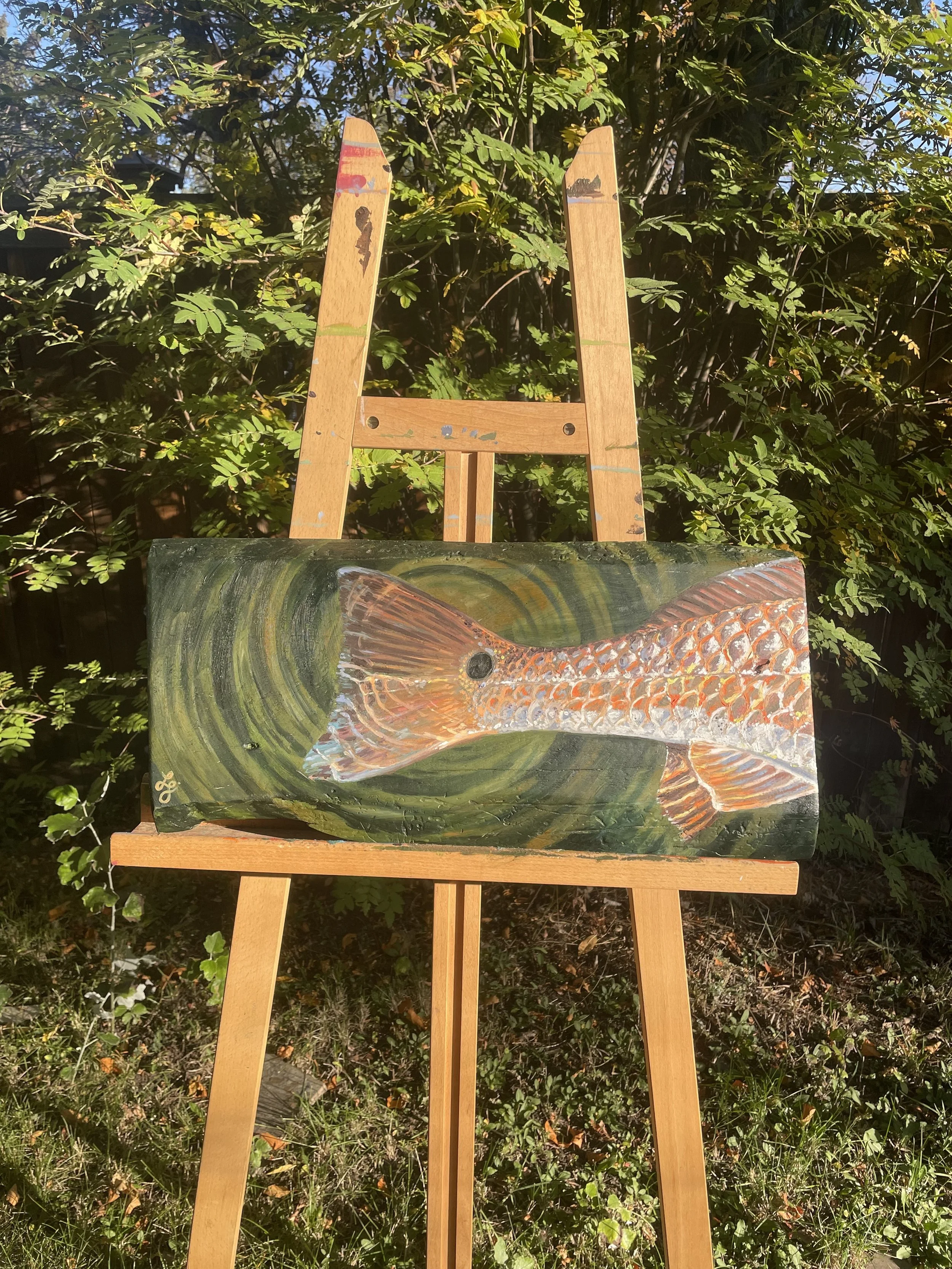 Redfish2.jpg