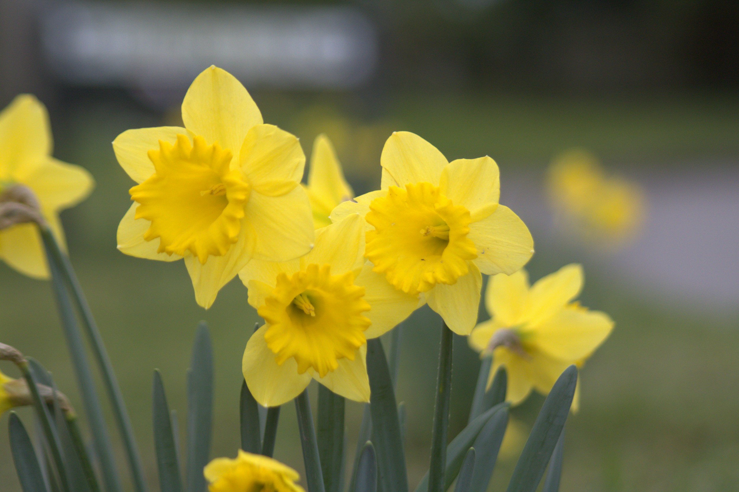 Spring half term 1 - School Closed