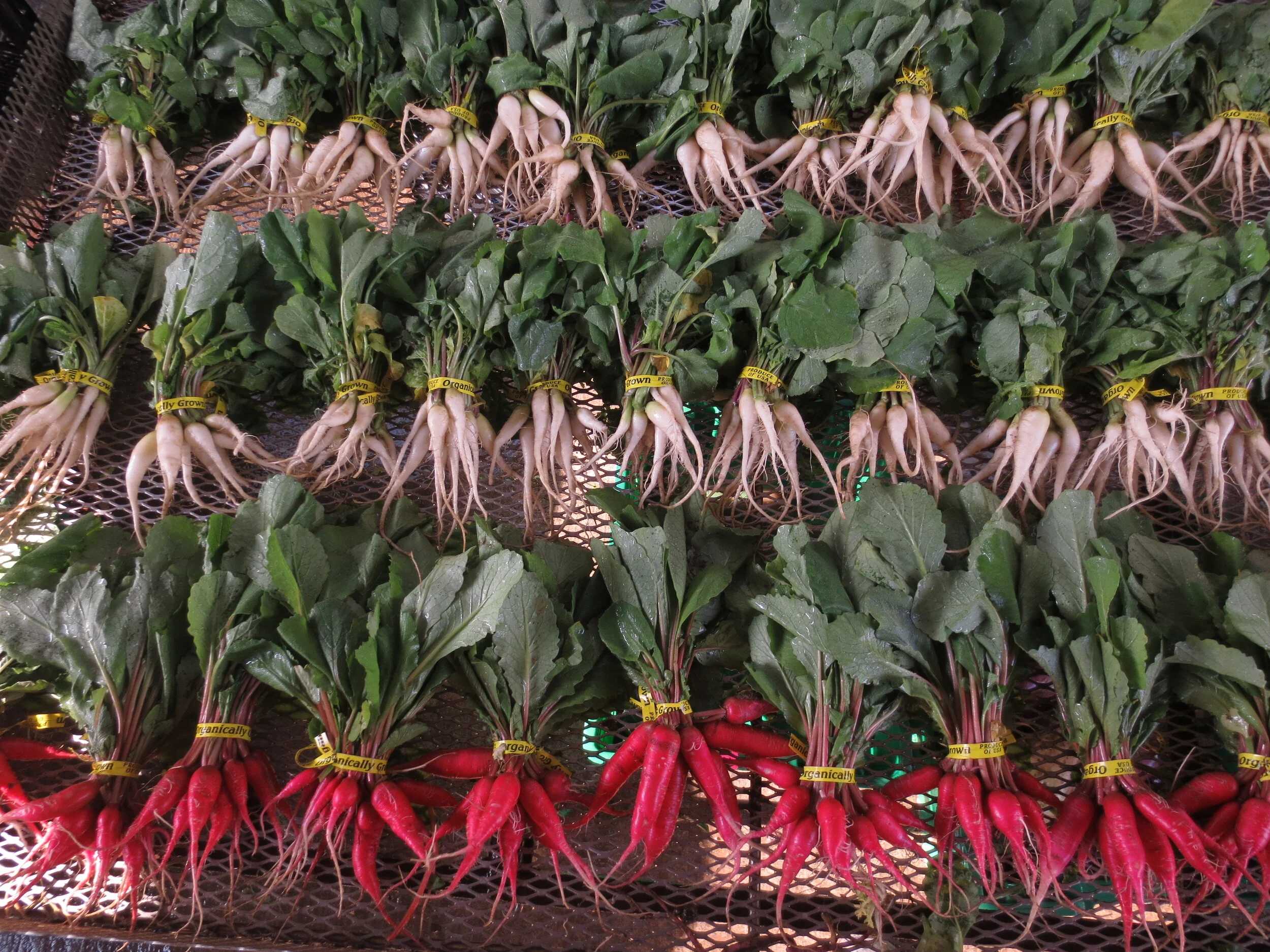 Norwich Meadows Farm