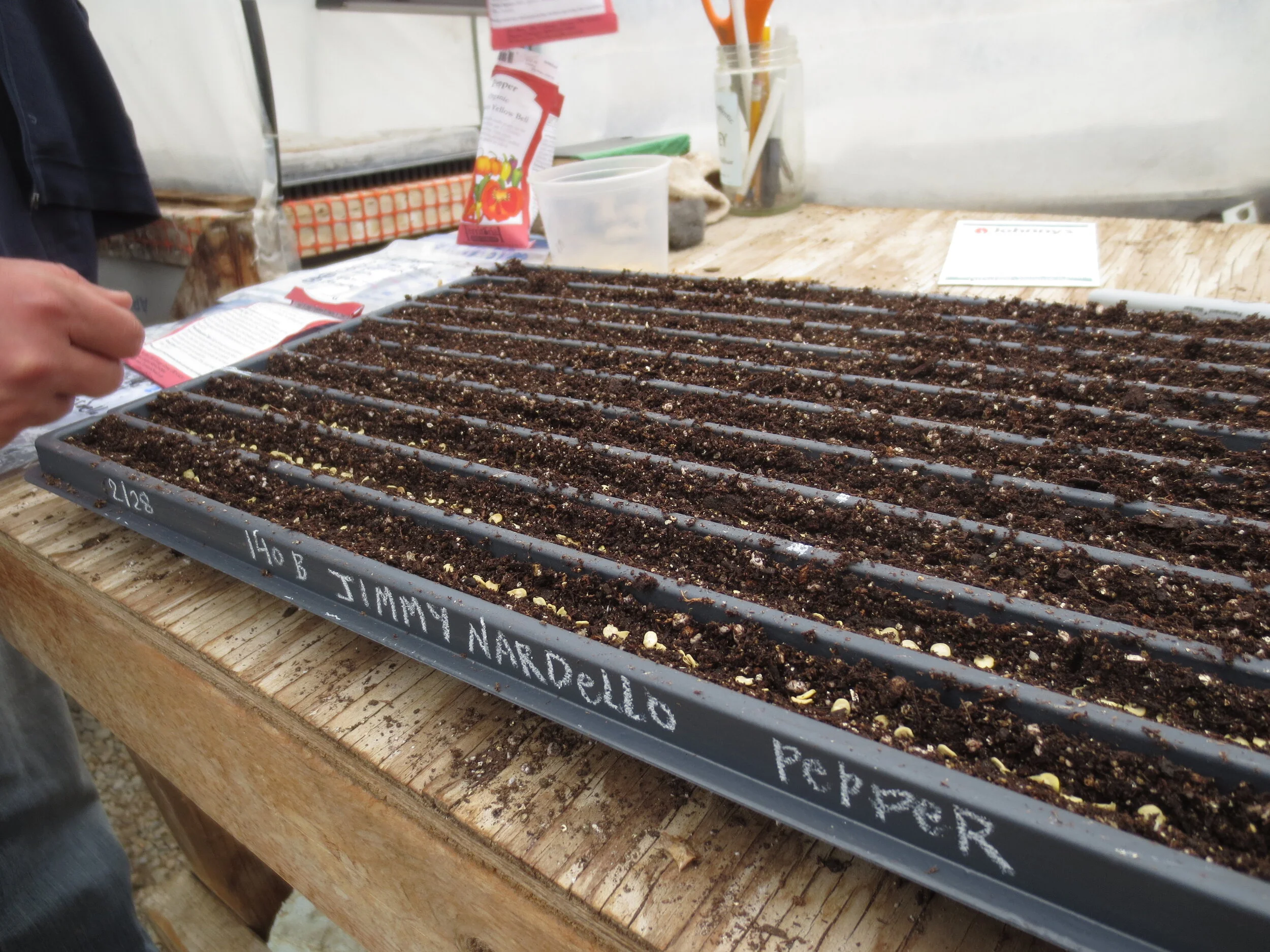 Norwich Meadows Farm