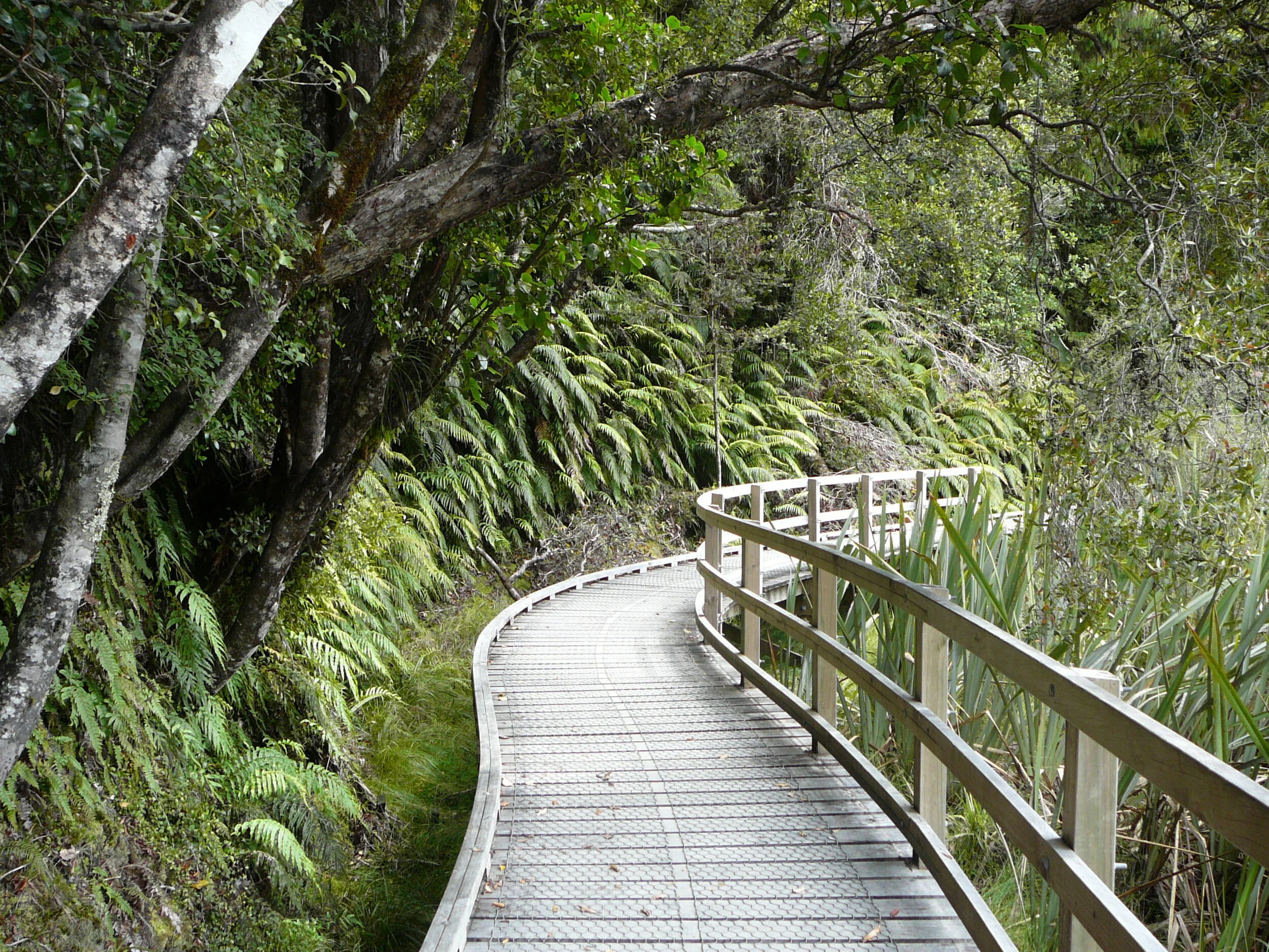 Conflict Resolution and Mediation